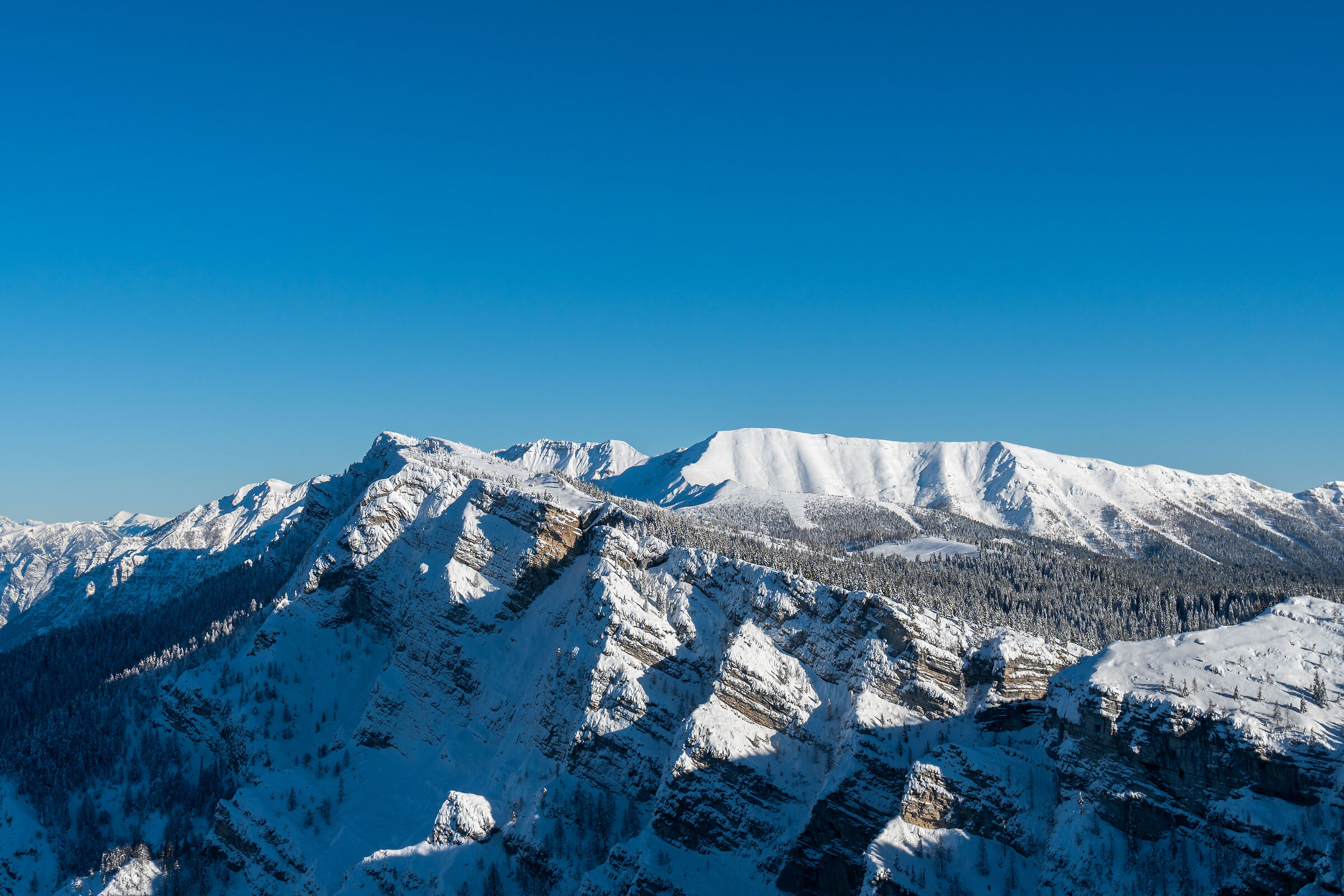 Happy Holidays and Merry Christmas!