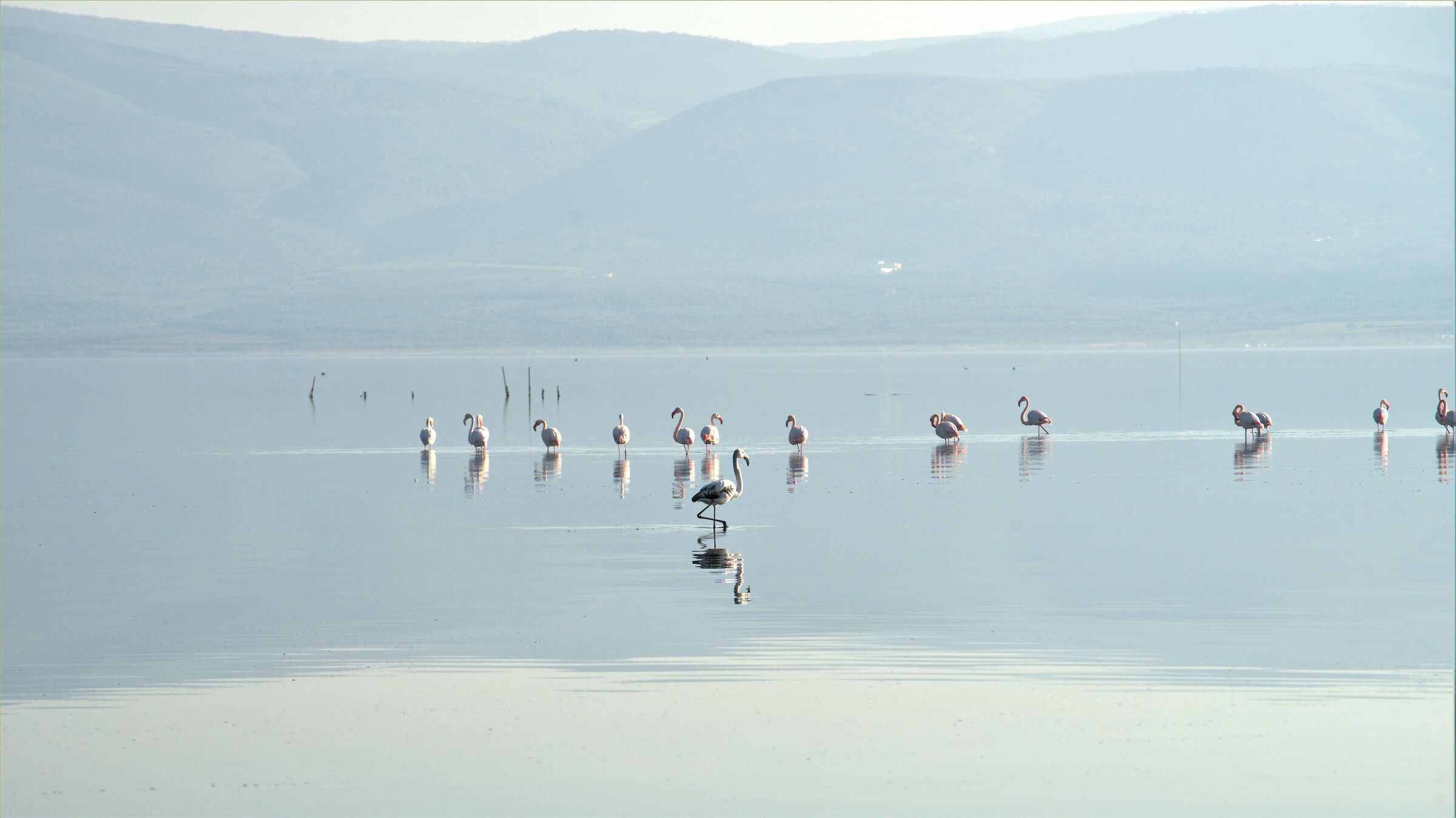 A serene Christmas in Tutti