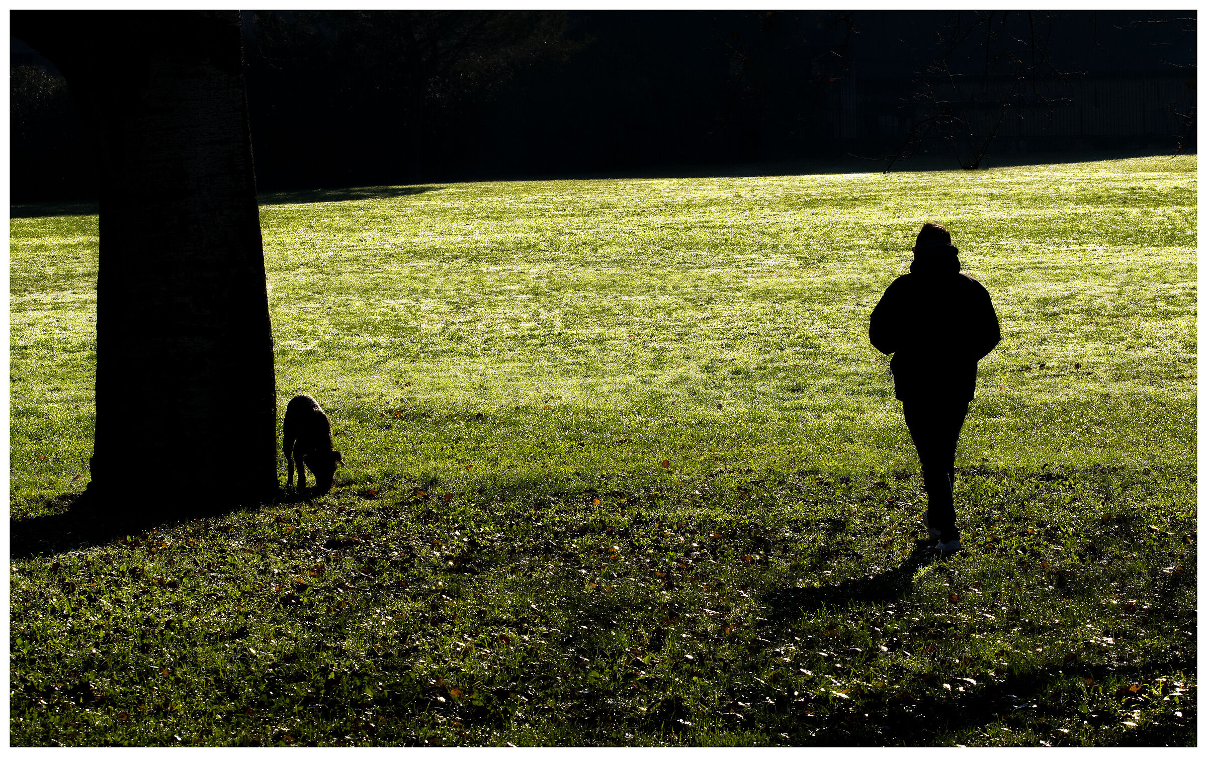 e' un Natale diverso, ma è sempre Natale