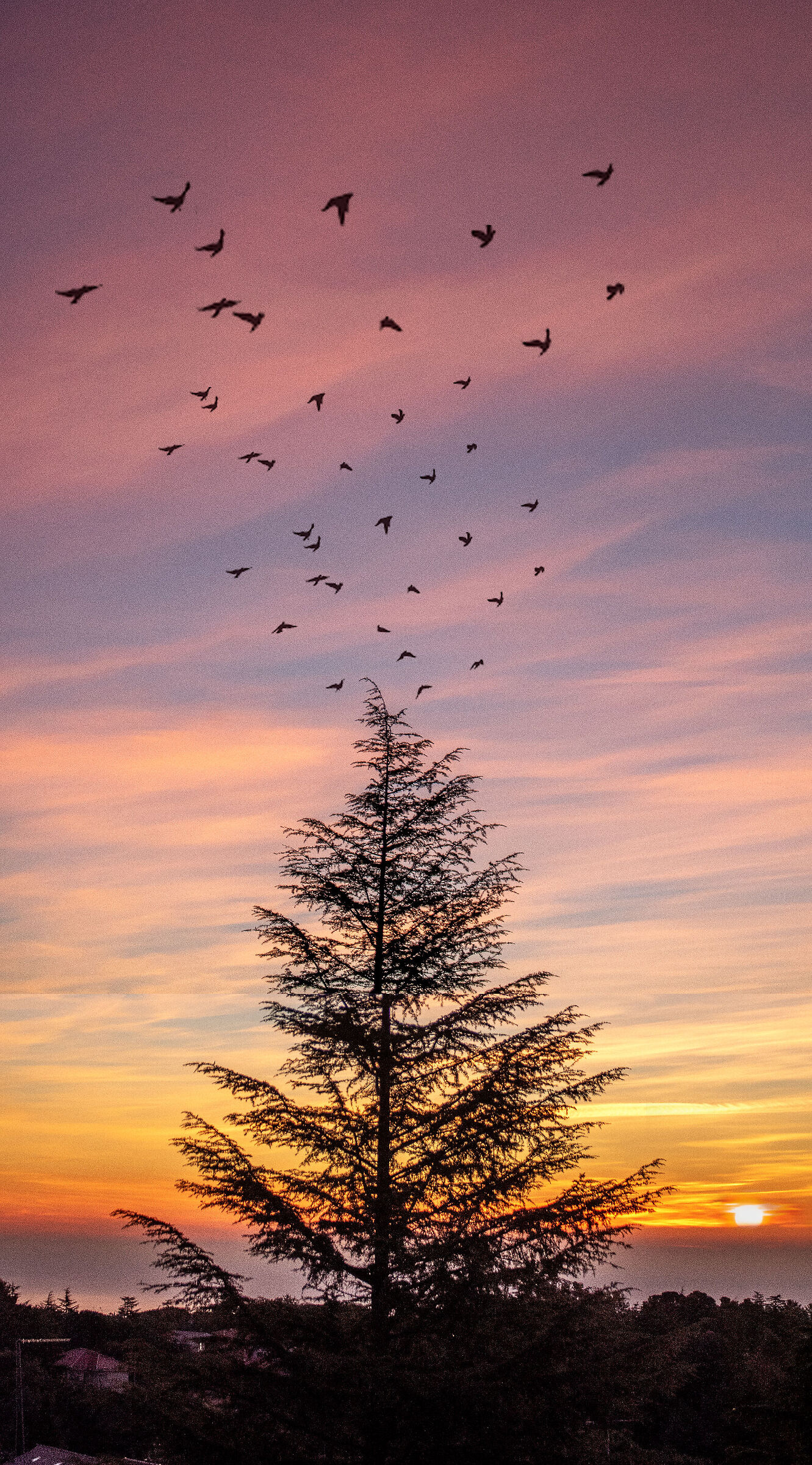 Freedom oltre il confine .. due stelle nel cosmo