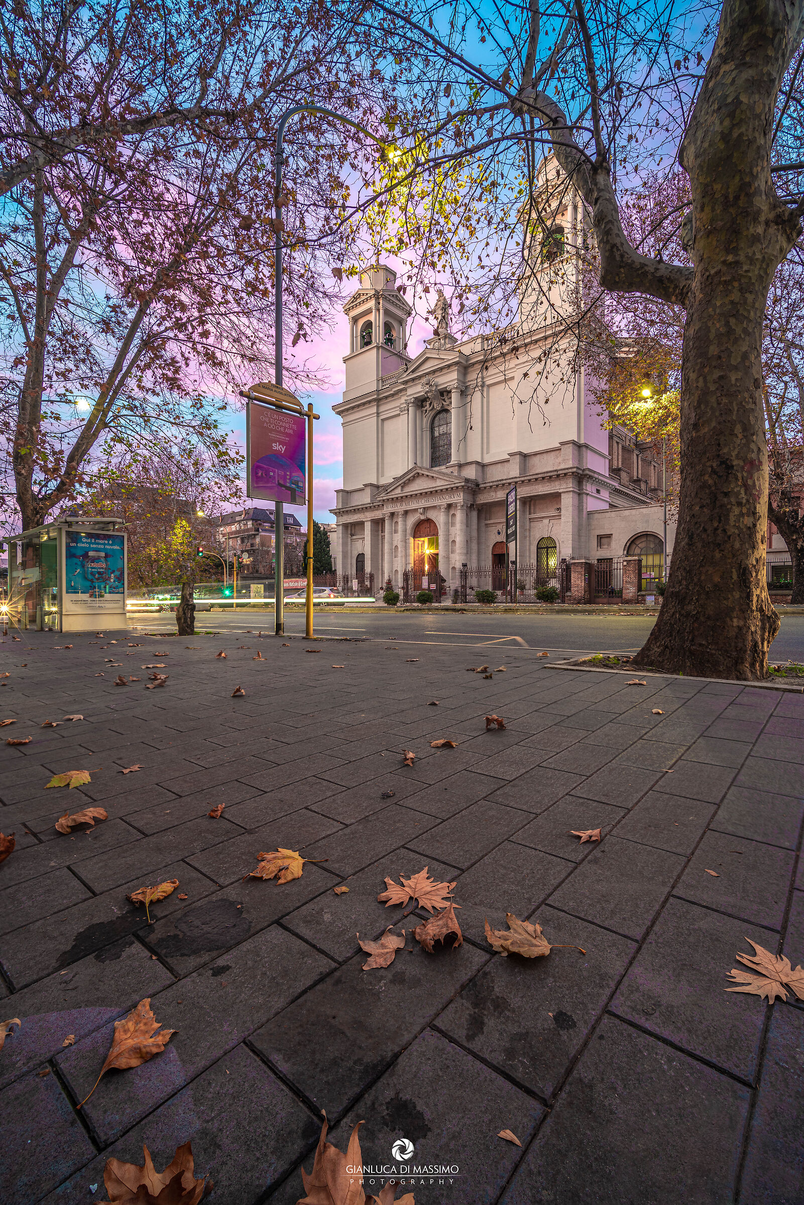 Landscape under the house
