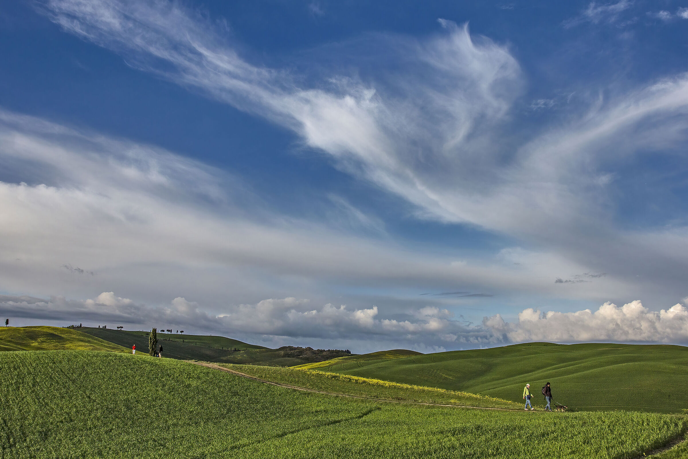 Una giornata di primavera