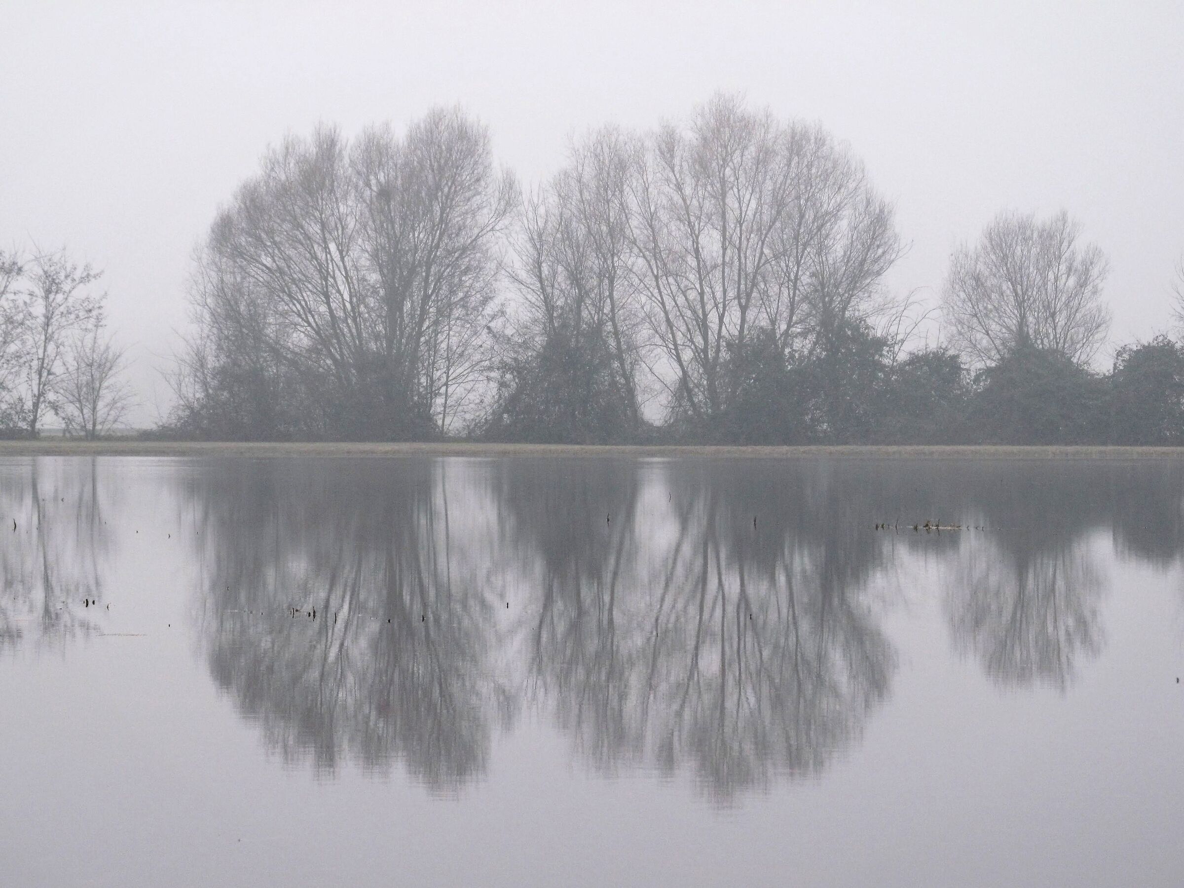 Untitled Photo