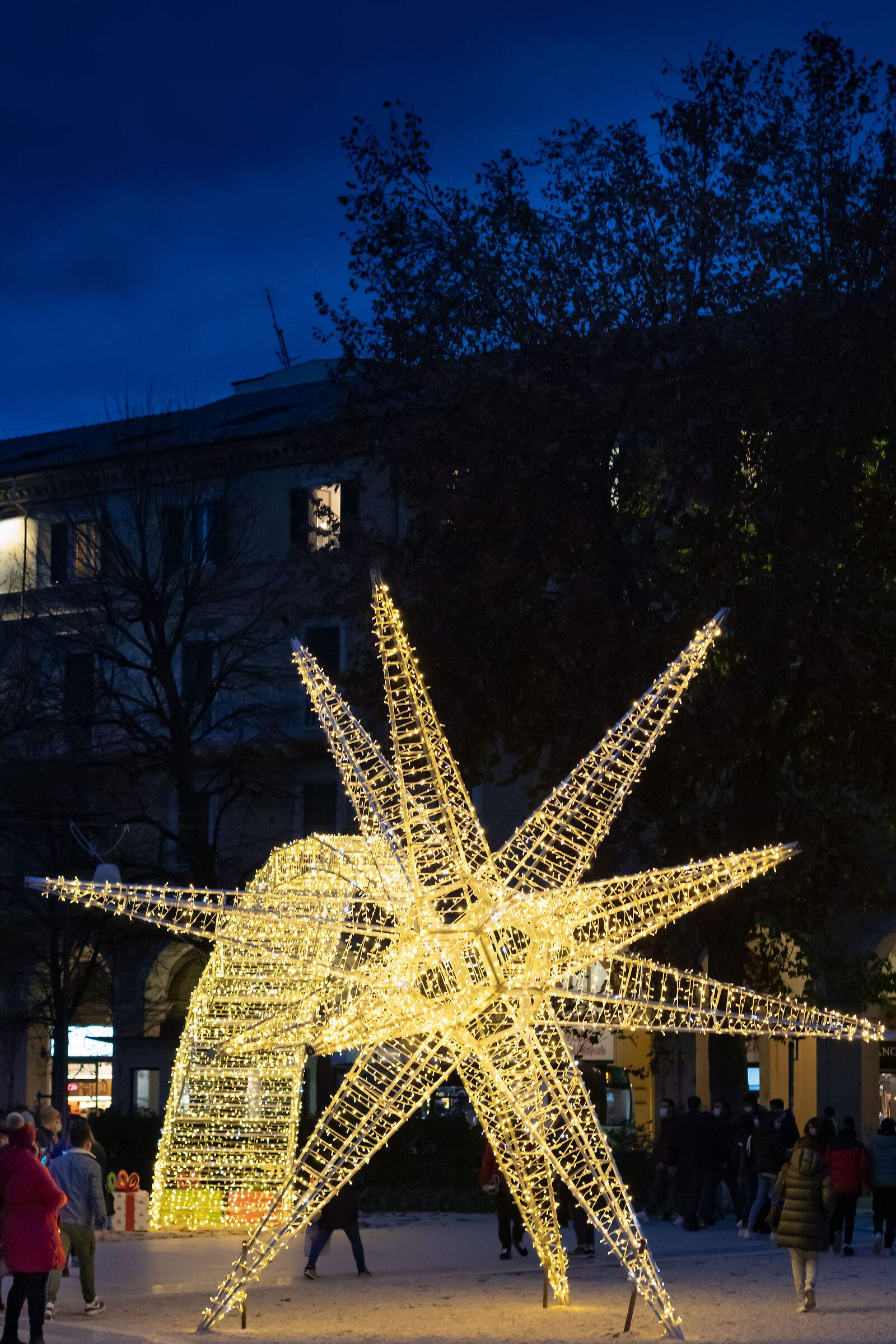 Luci Ancona Piazza Cavour 2020