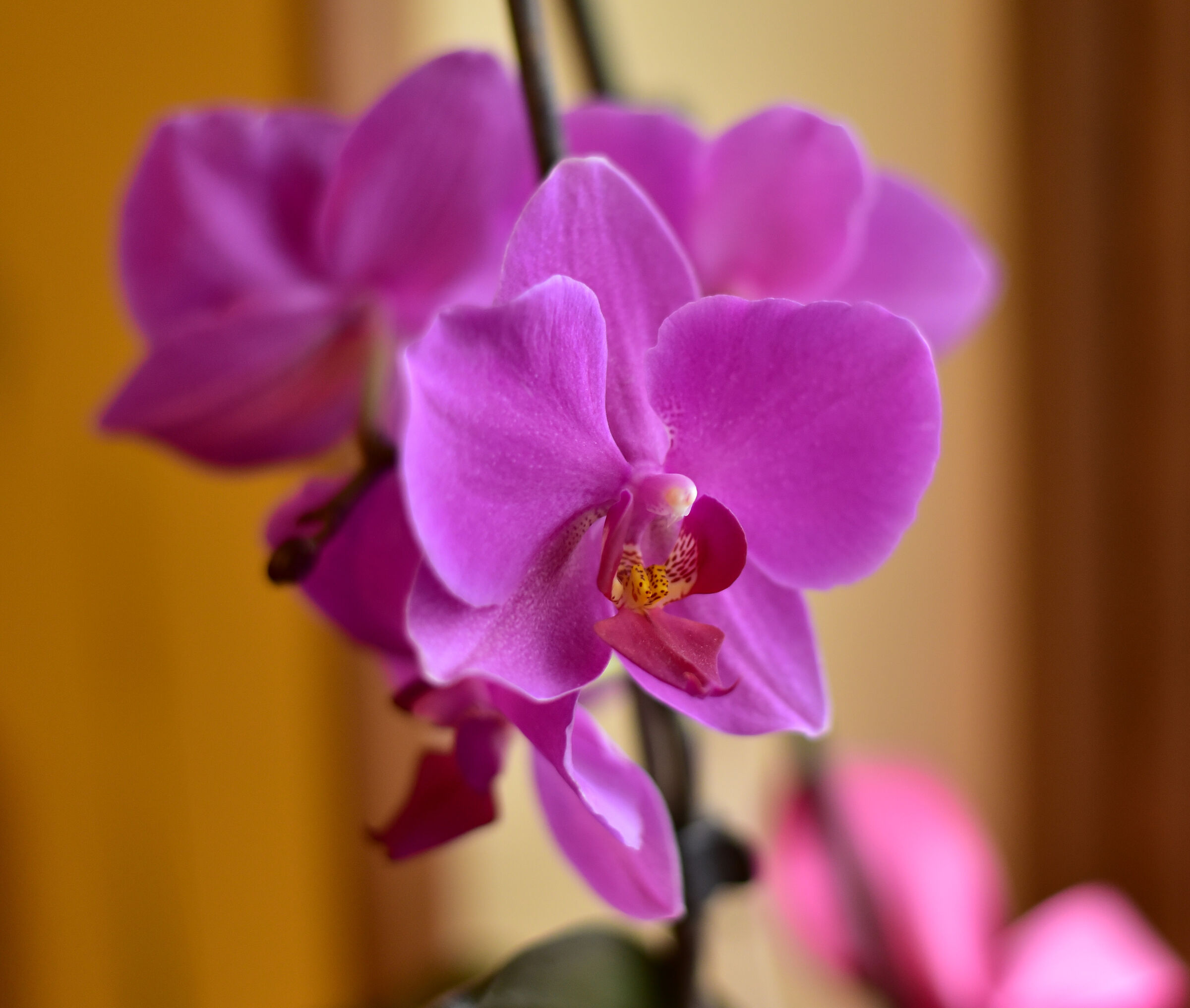 Untitled Photo