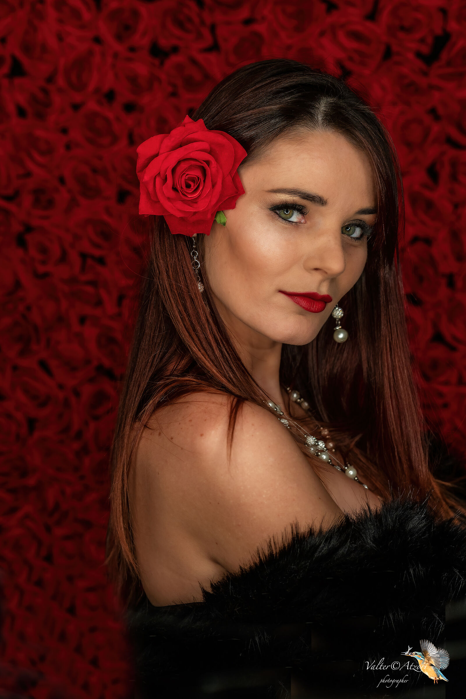 A Red Rose