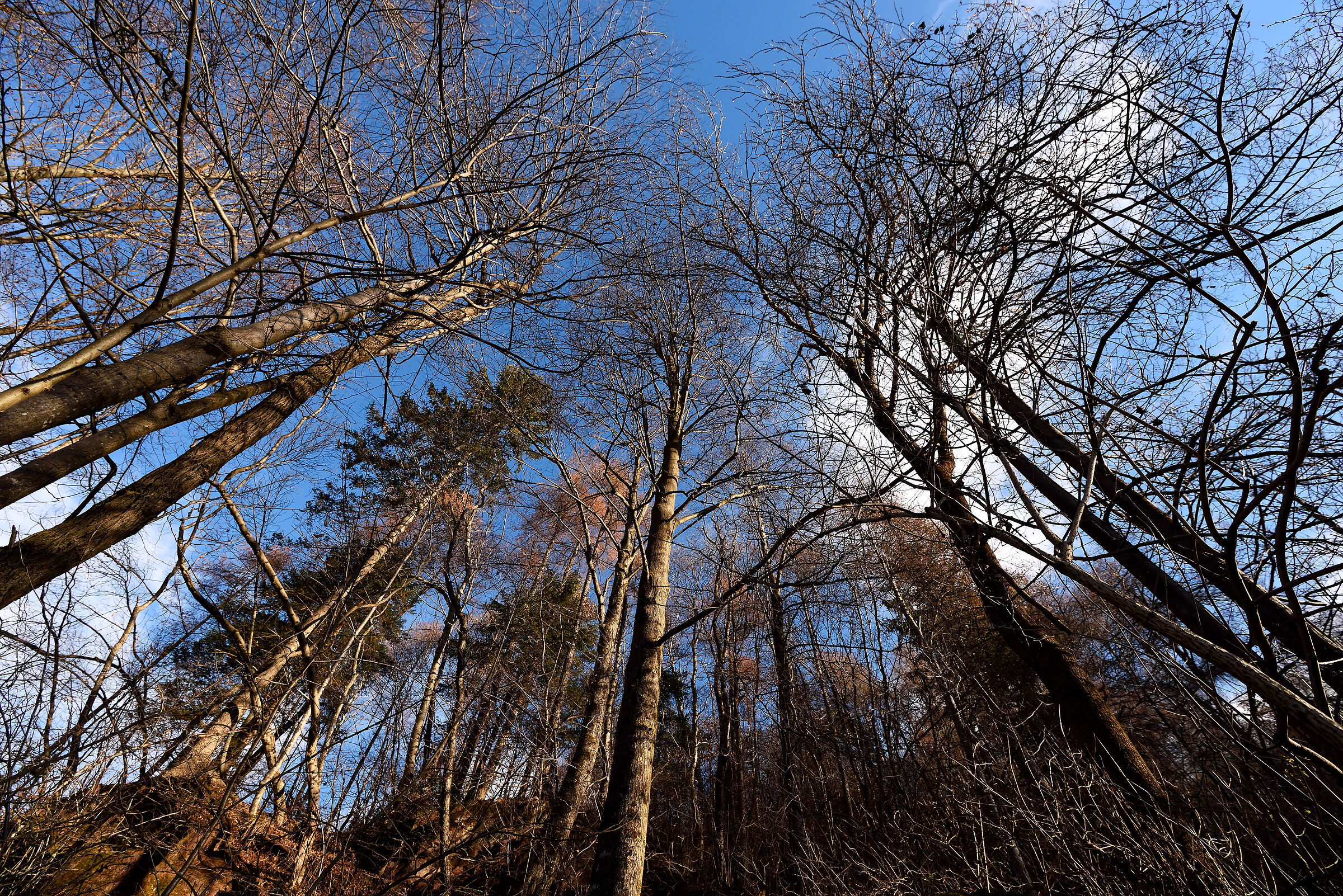 Untitled Photo