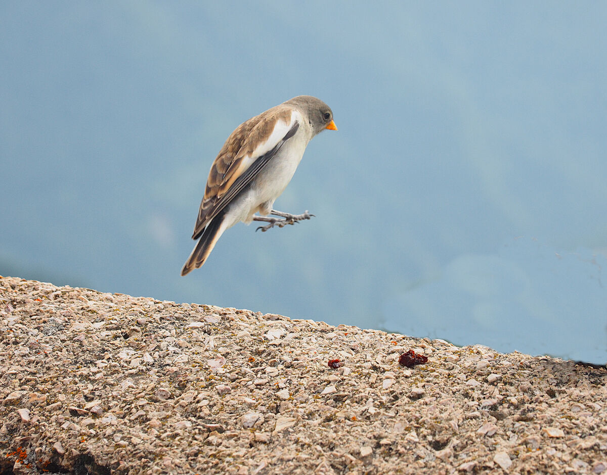 Towards infinity and beyond!!!