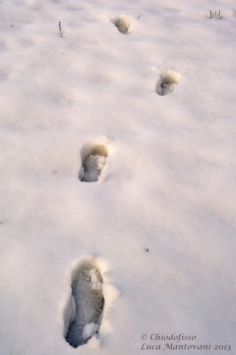 Due passi nella neve