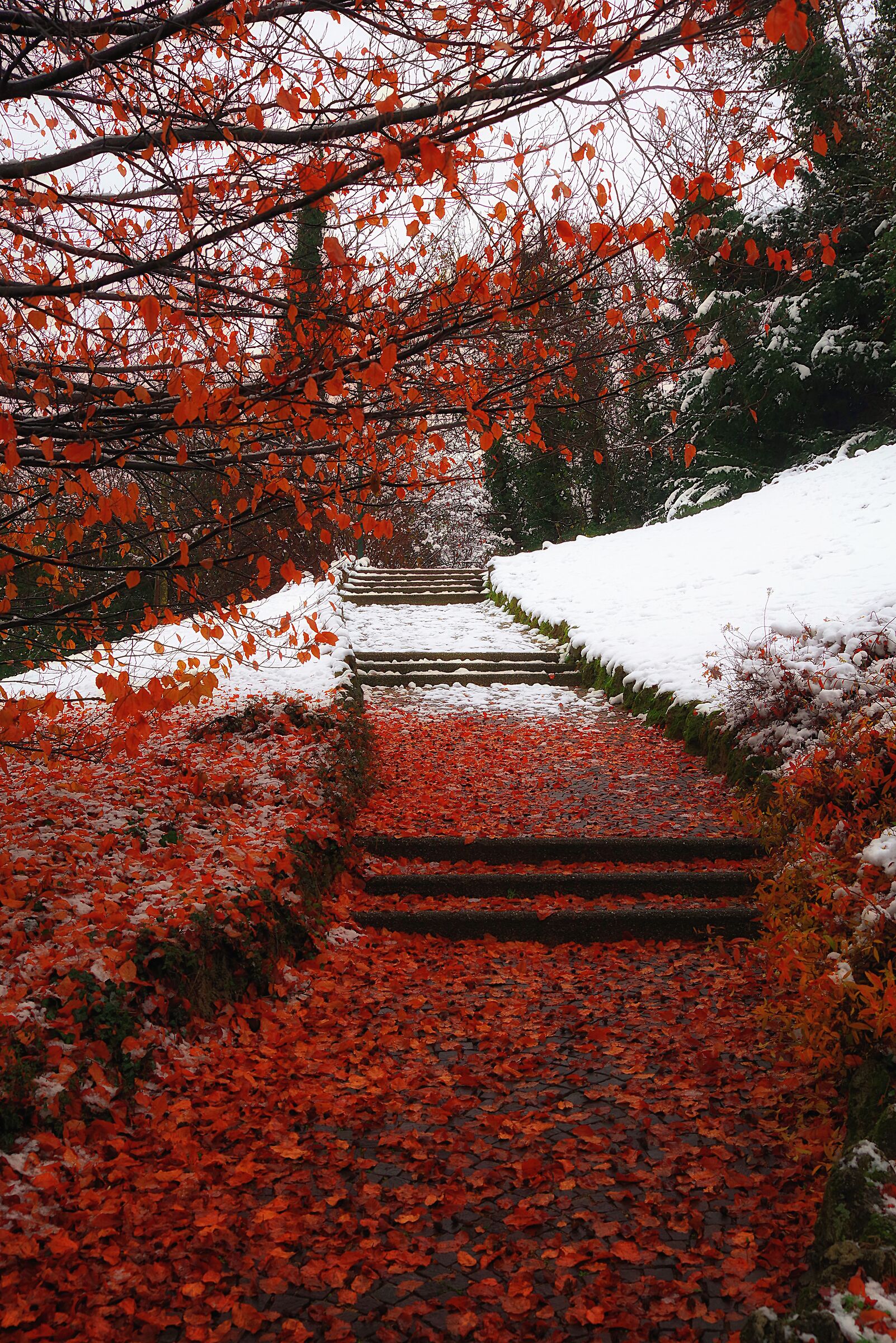 Between autumn and winter