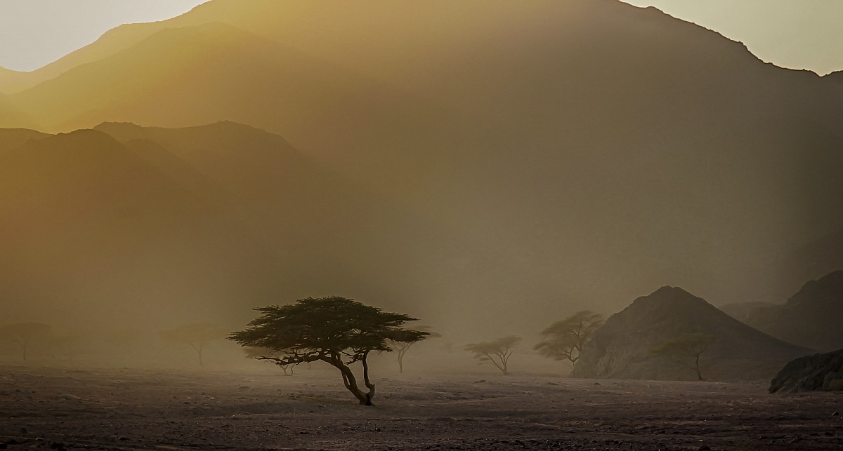 sunset in the desert