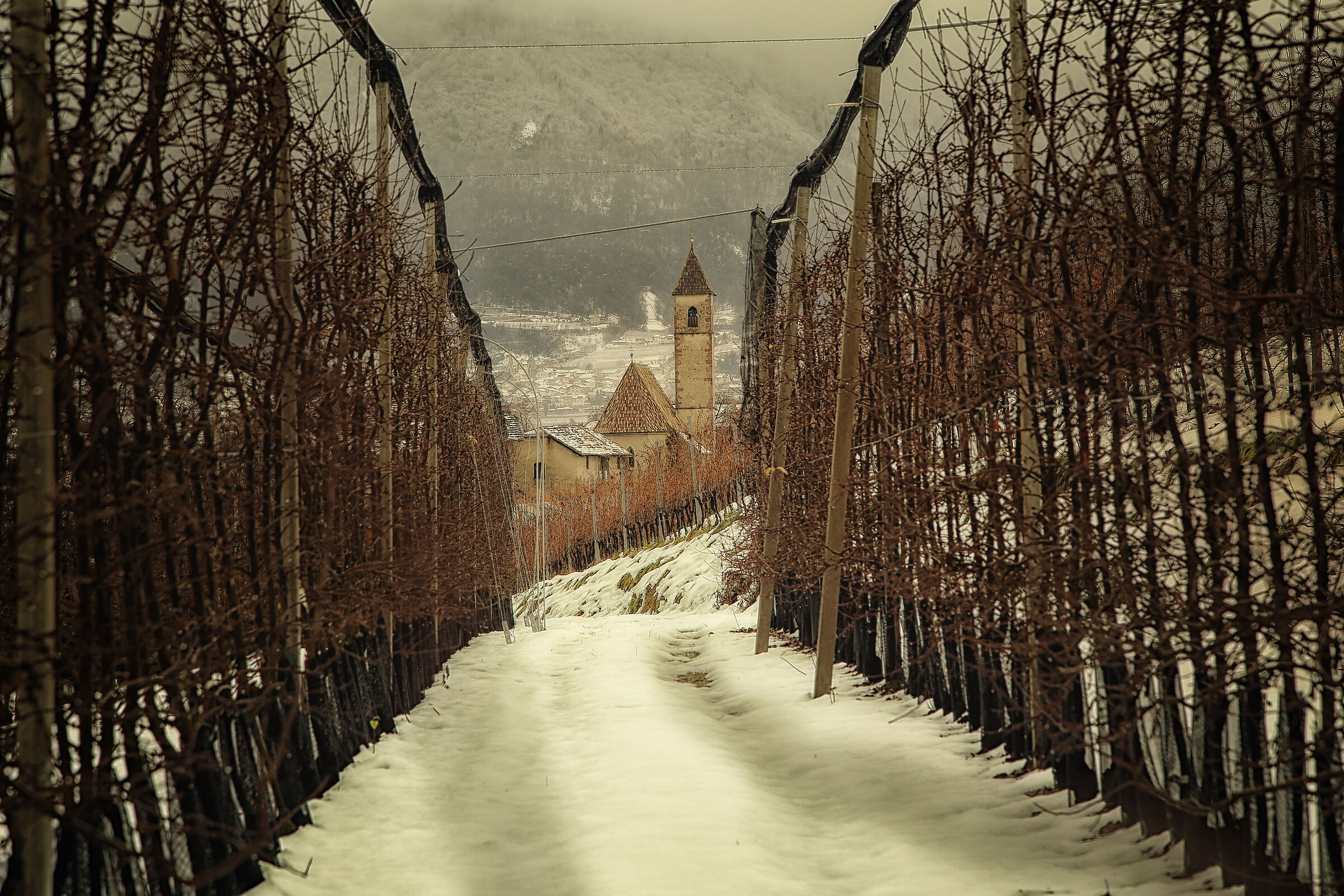 Il paesino in fondo la vigna
