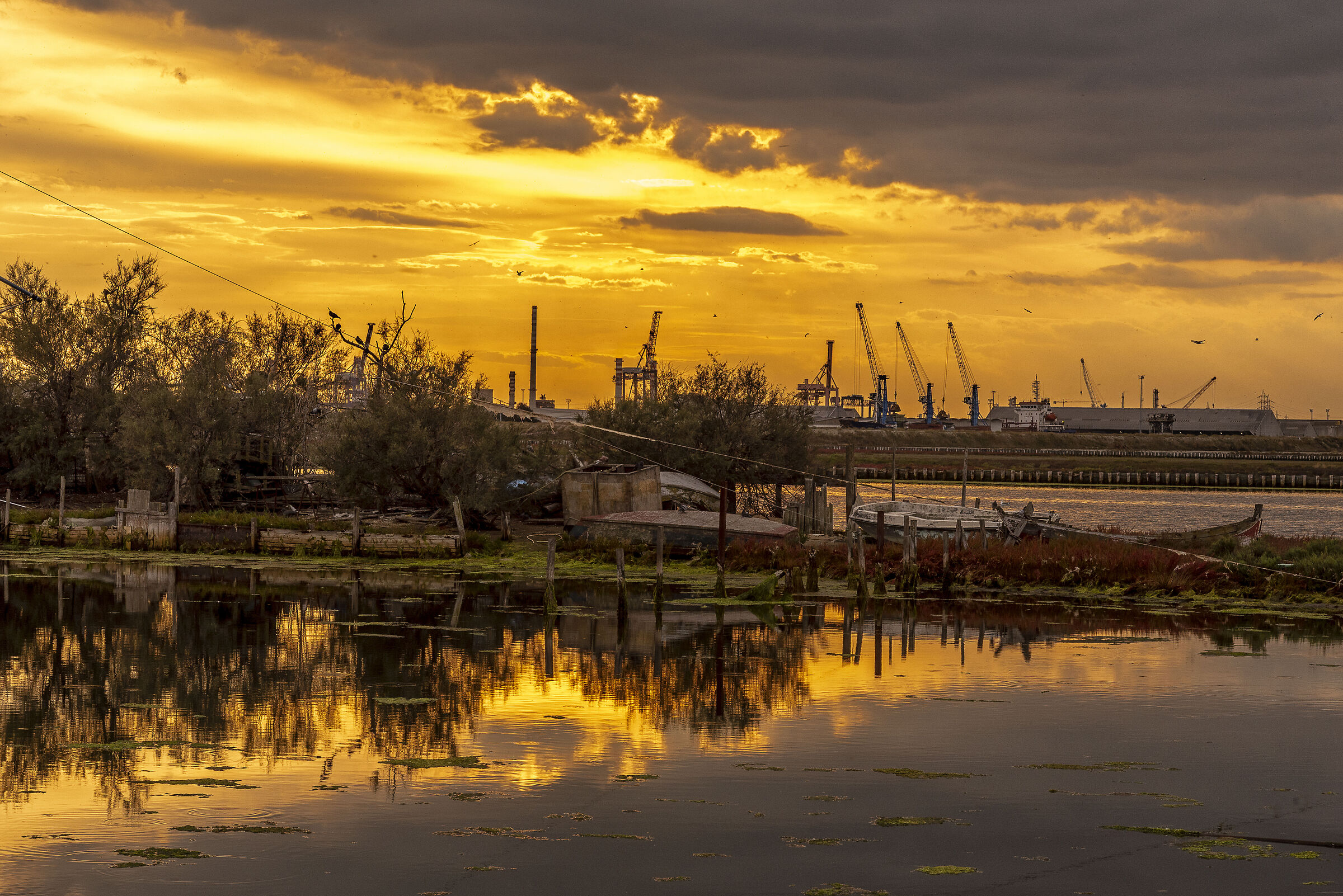 Pialassa dei Piomboni