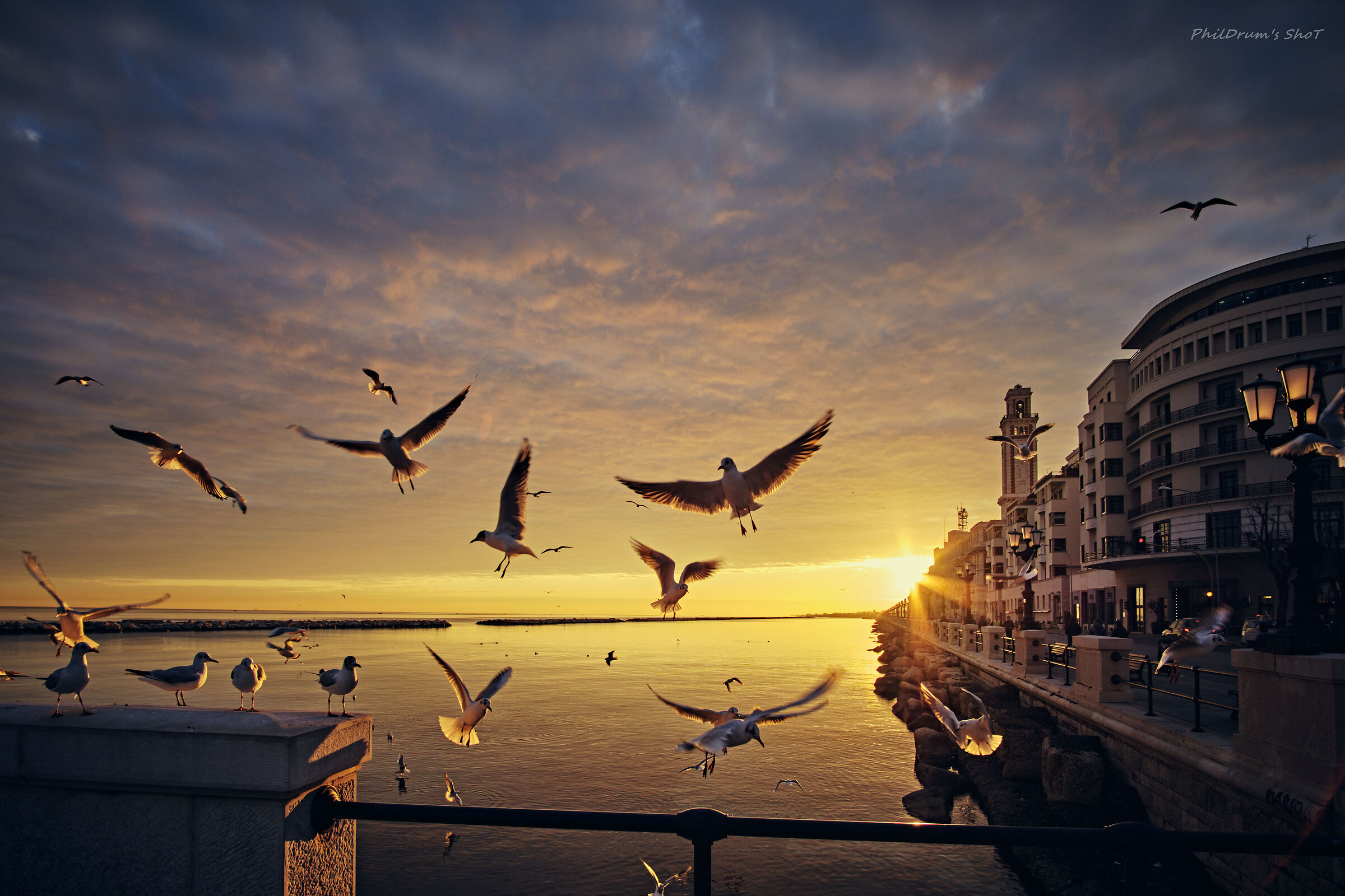 istantanee di quotidianità