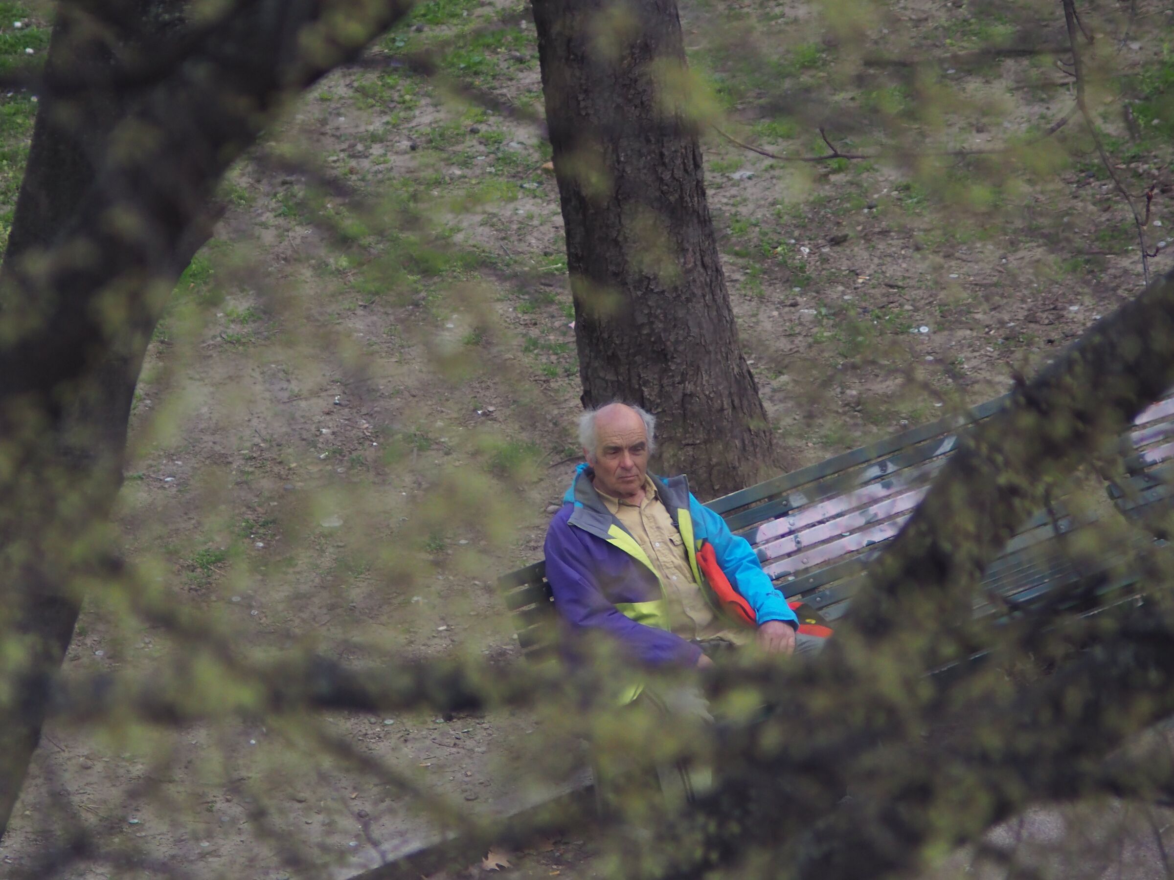 Test OM Zuiko 85-250 F5