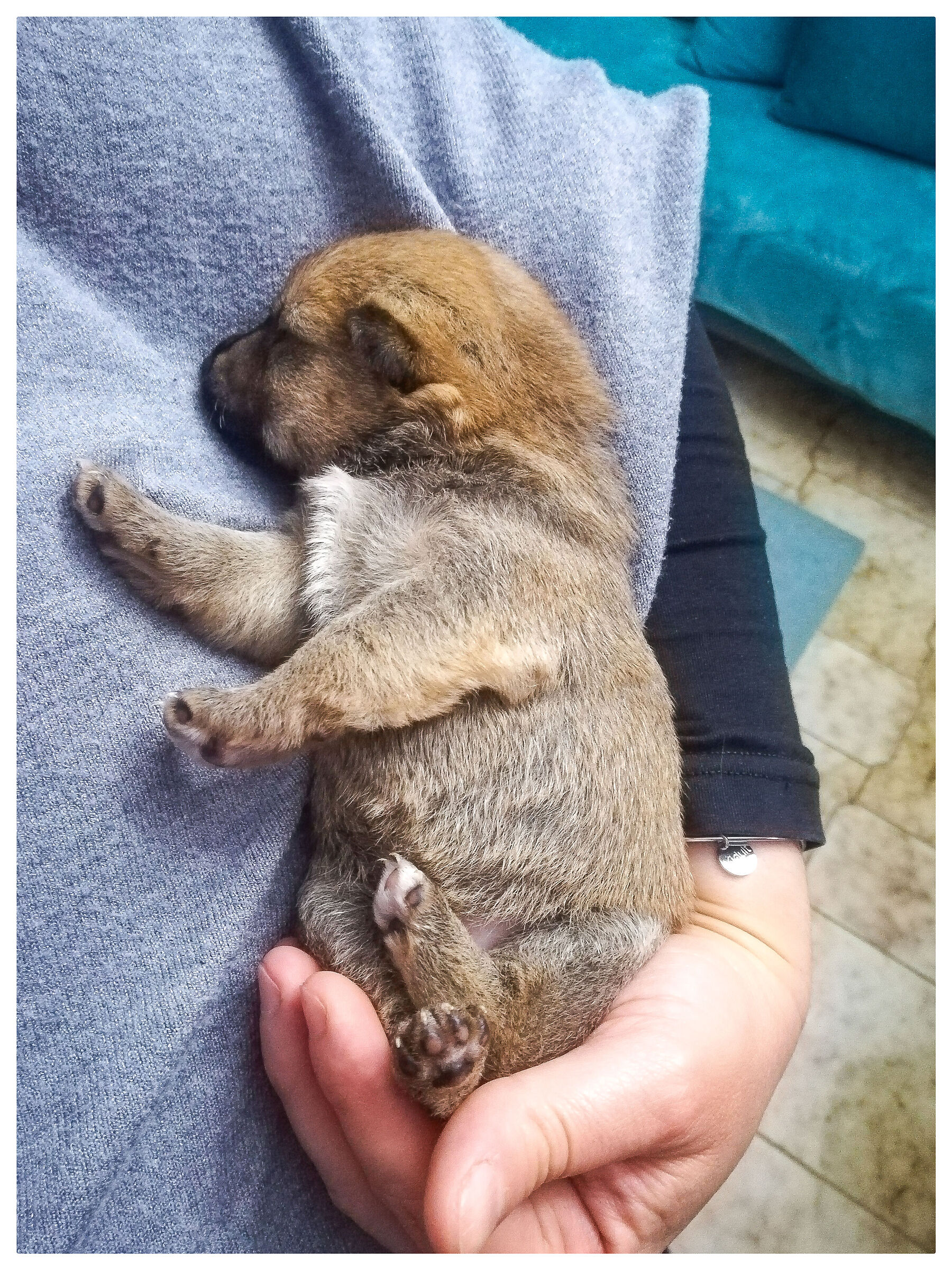 Piccolo cuoricino in una mano