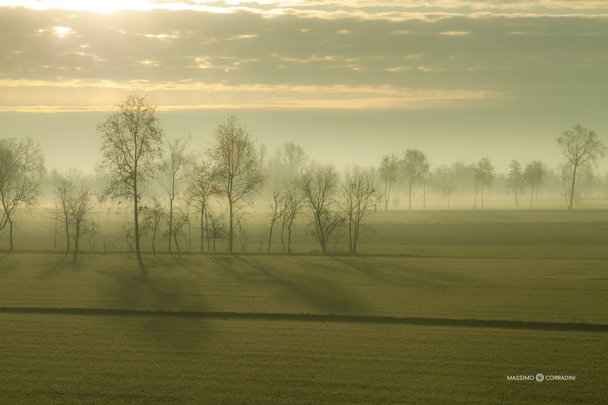 Good morning you can see from the morning