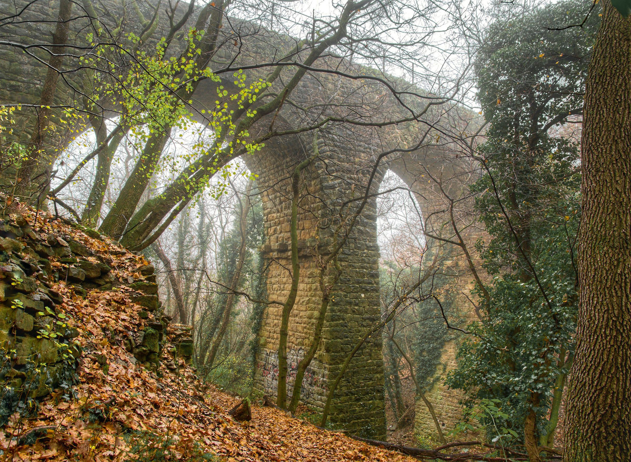 The cycle and pedestrian most loved by Trieste