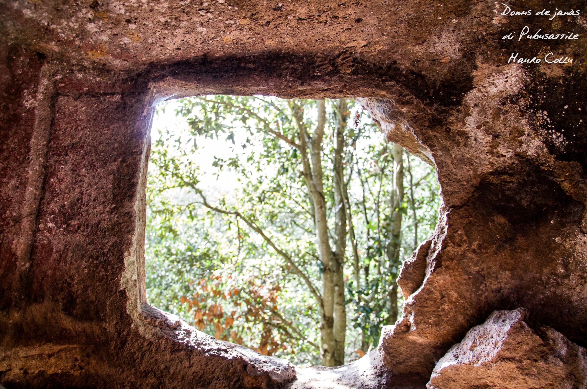 Domus de janas di Pubusattile, Villanova Monteleone