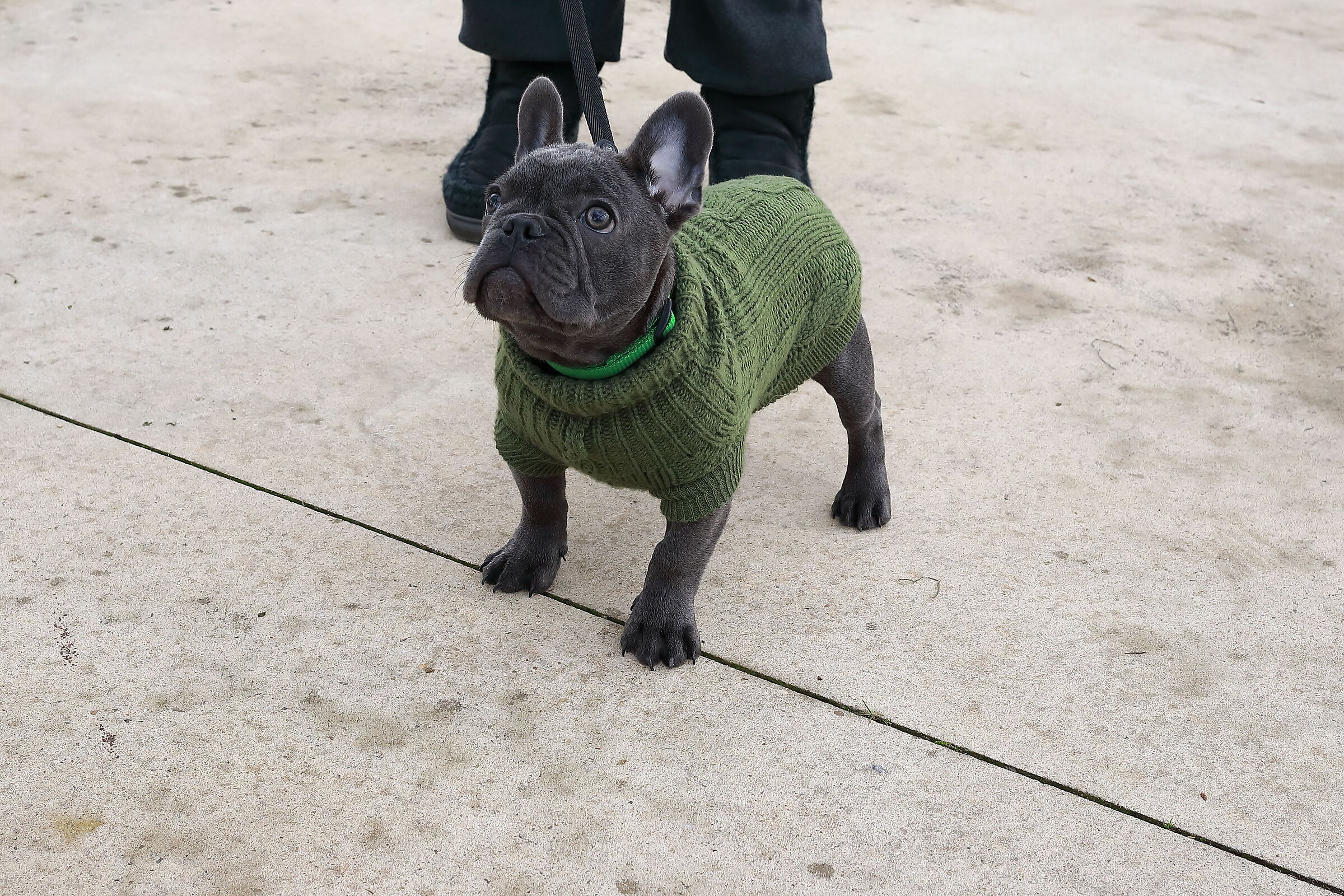 Buone feste anche a te