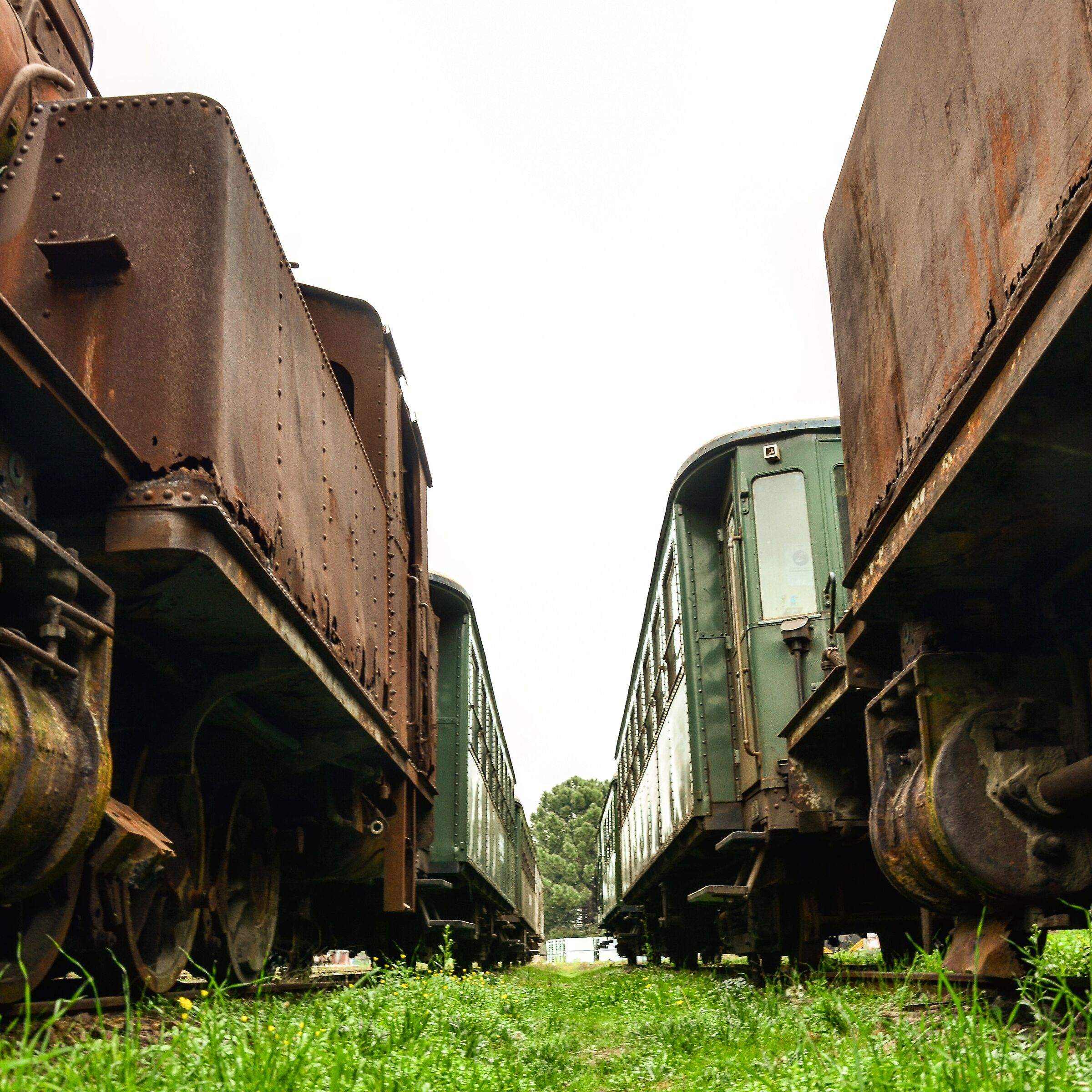 Locomotive dismesse, Tempio Pausania