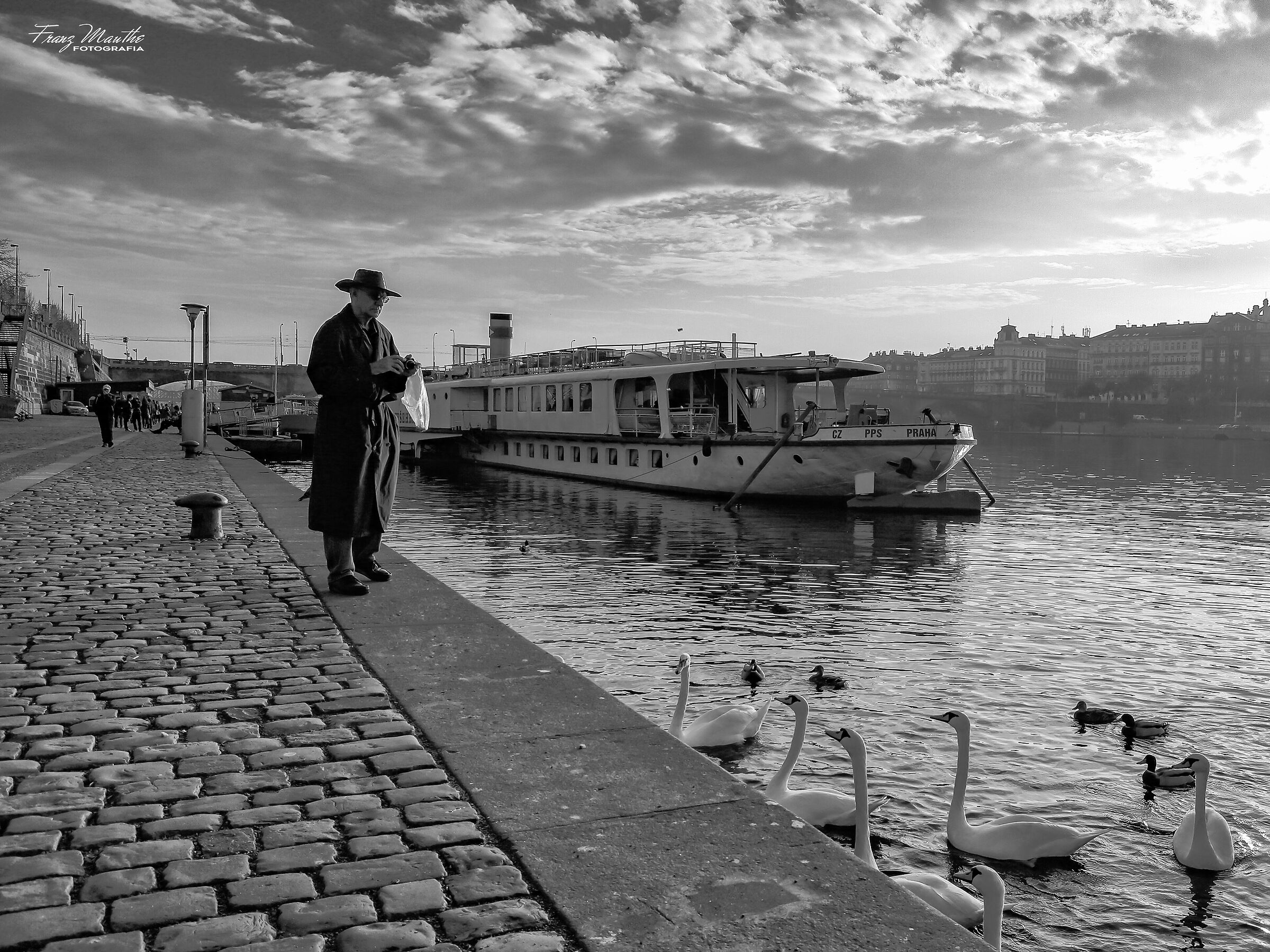 Praga - Il pranzo dei cigni