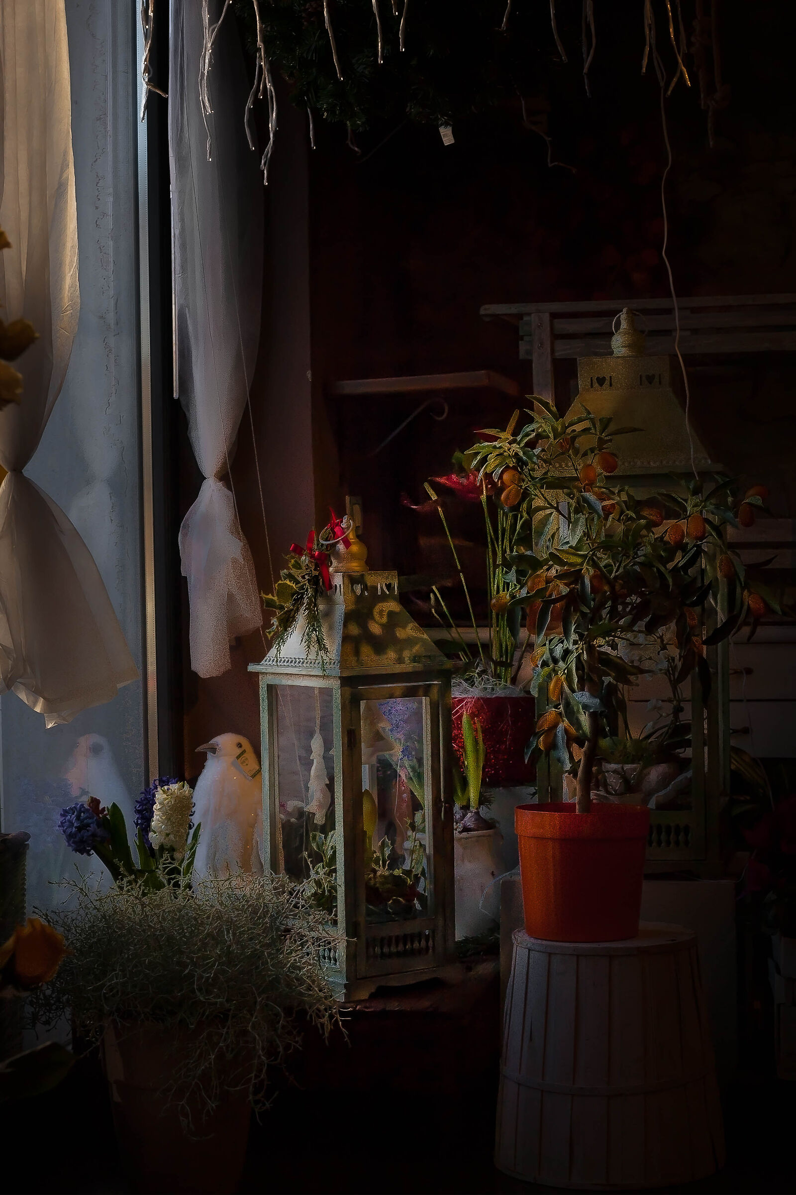 the suspended wishes