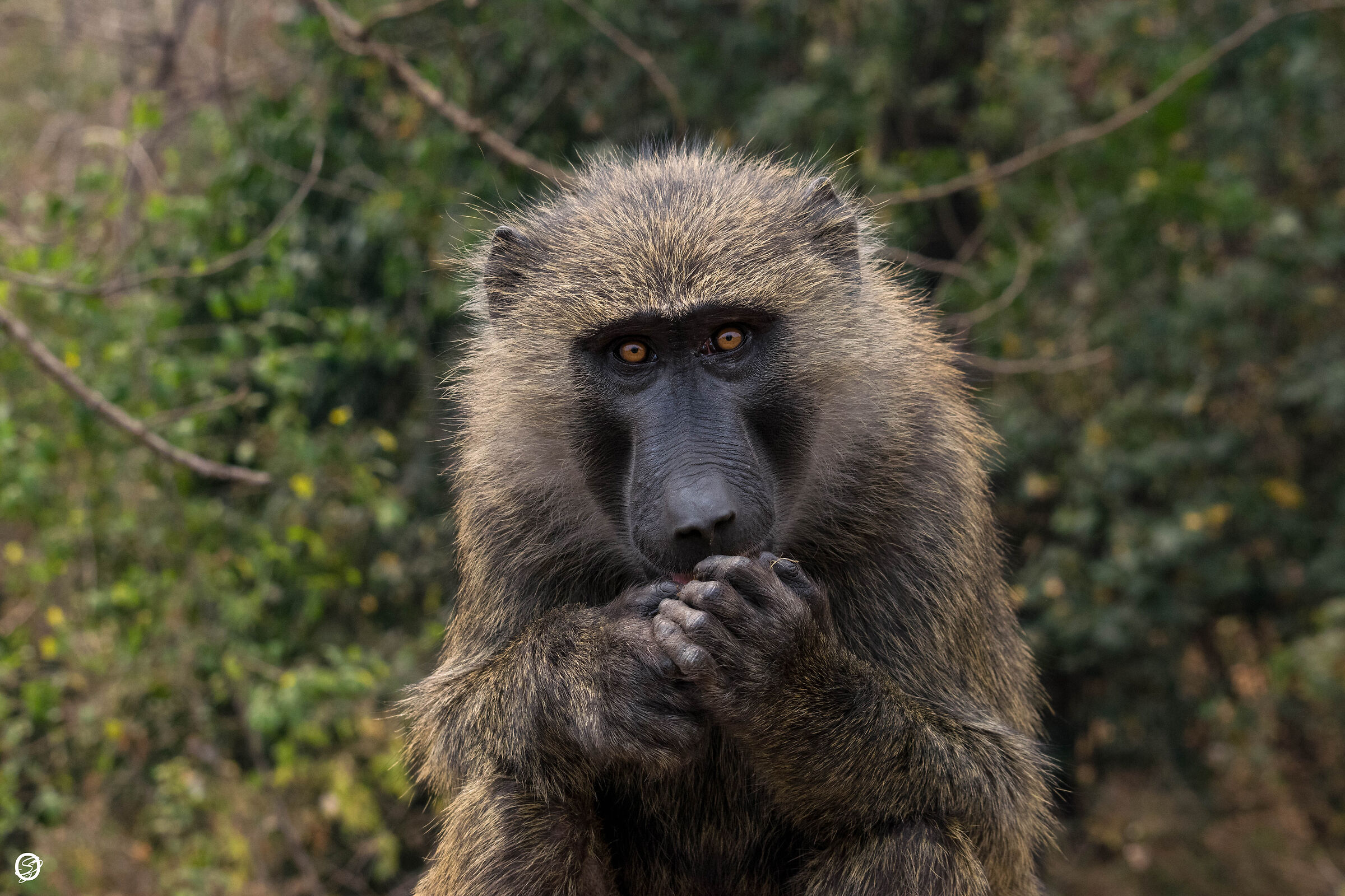 Guardiamoci negli occhi