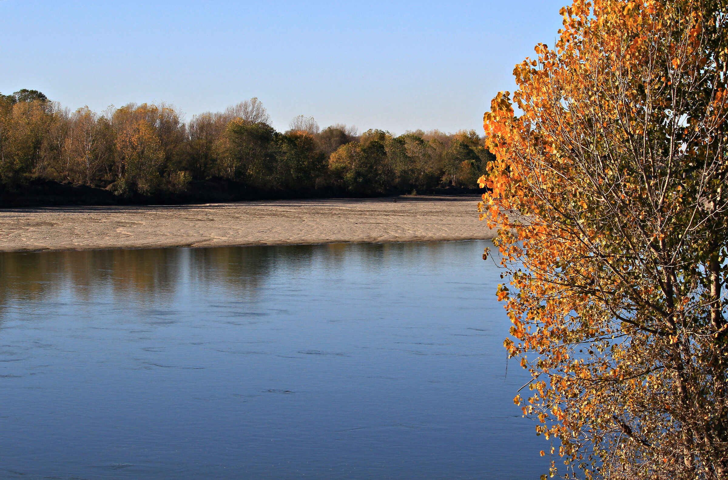 Autumn on the River