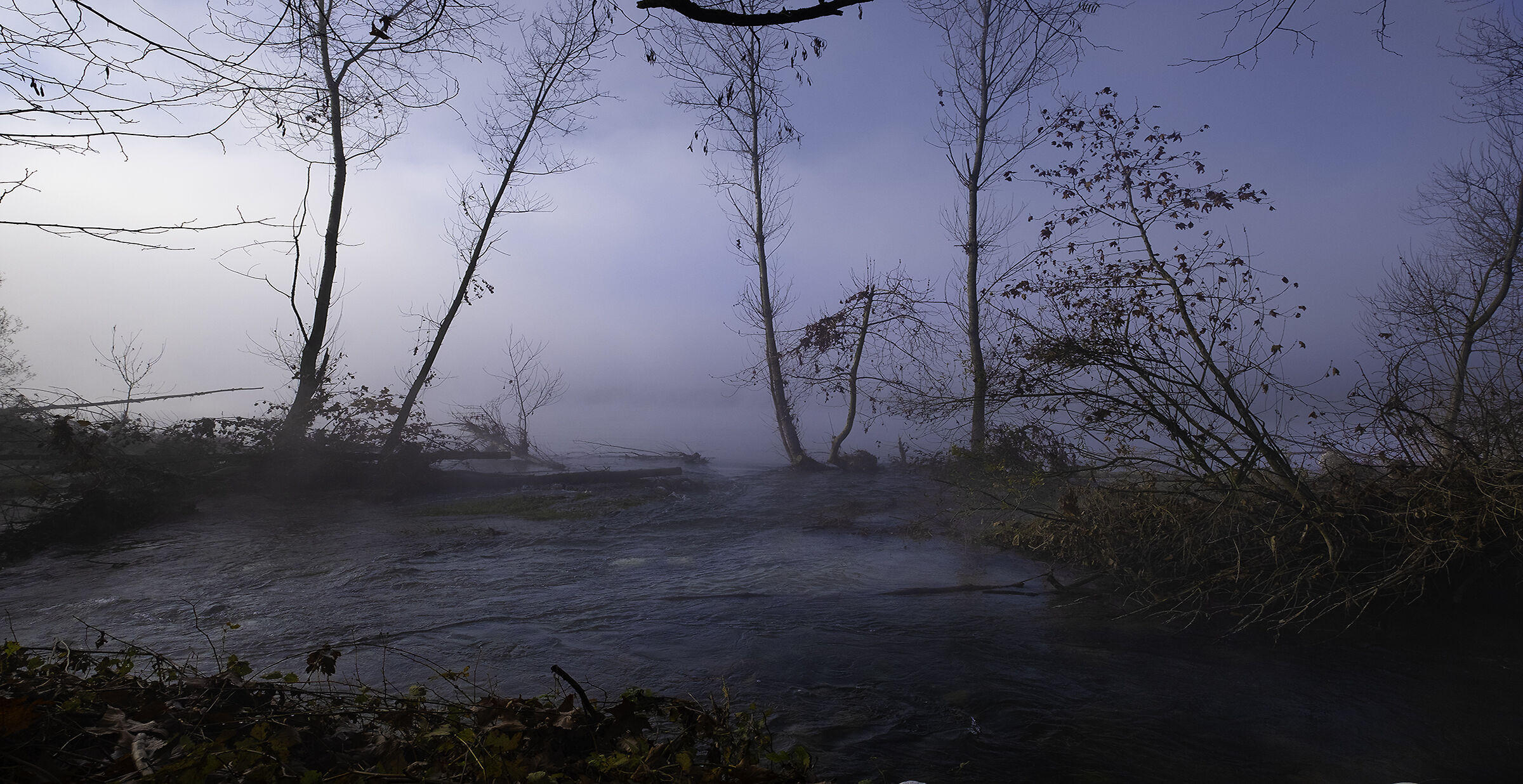 ansa del ticino zona Castelletto Ticino