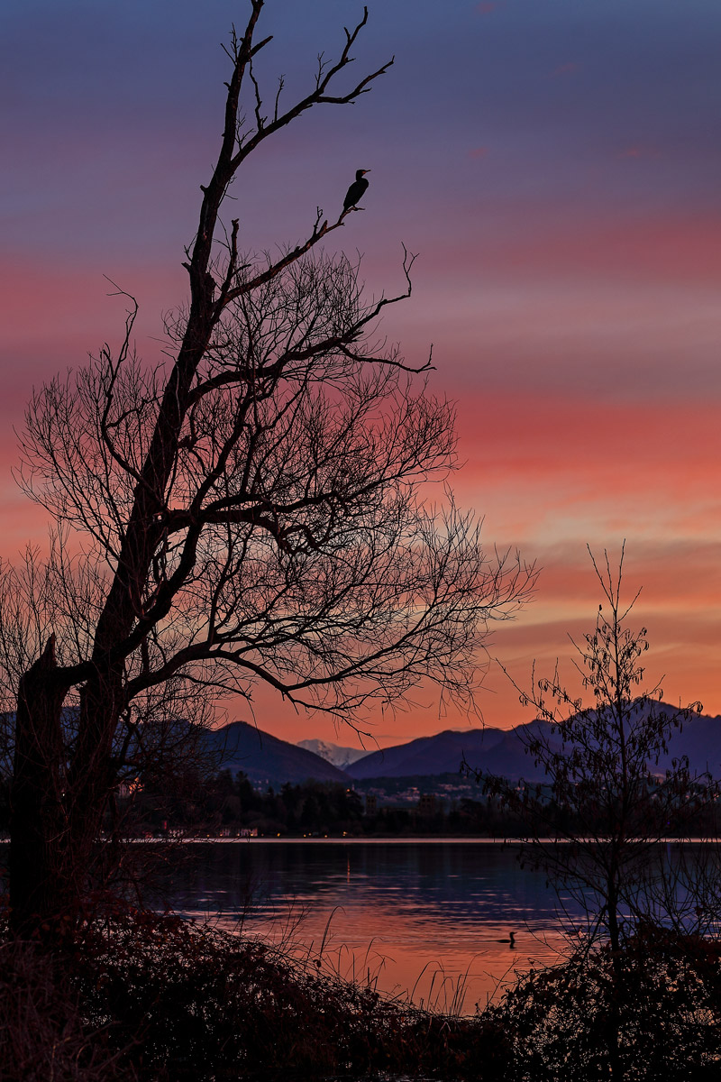 Lake Comabbio