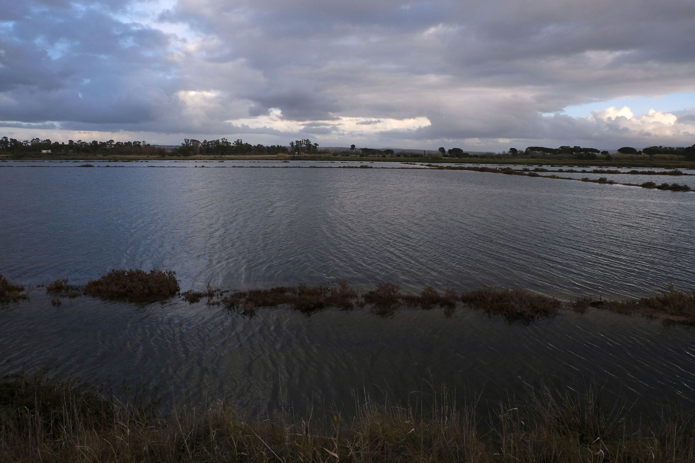 Tarquinia Salt Pans
