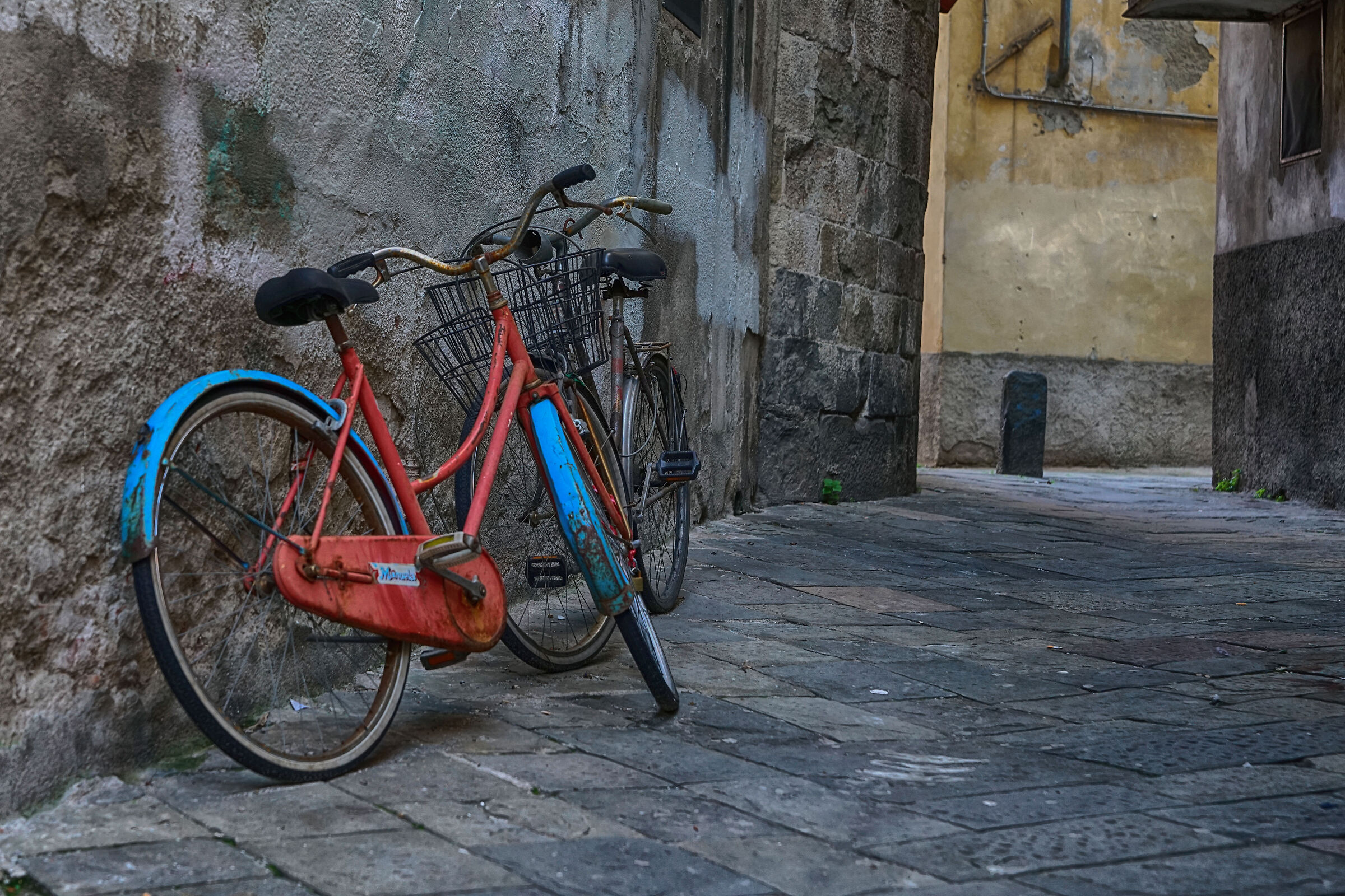 old bicycle Lucca