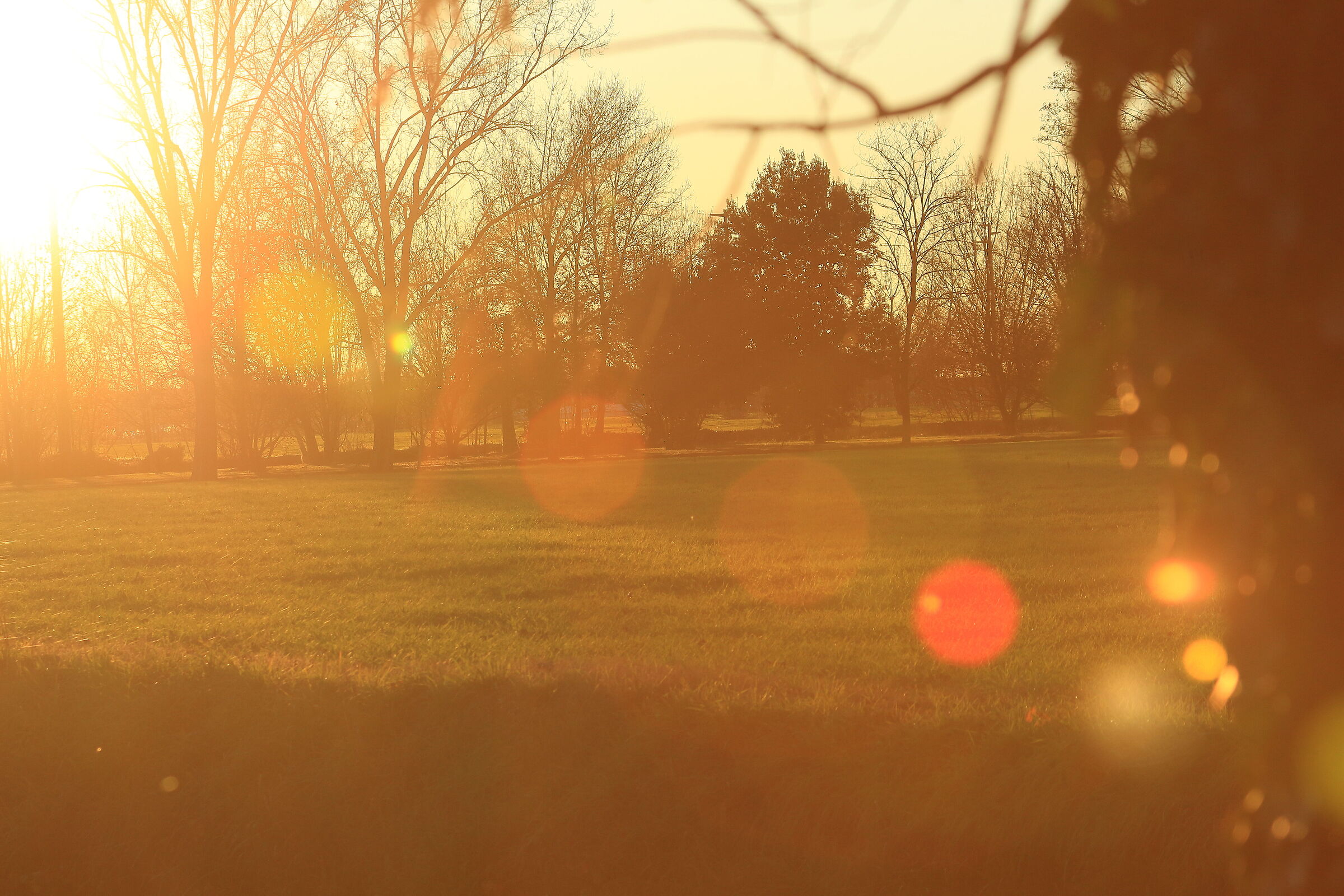 Controluce