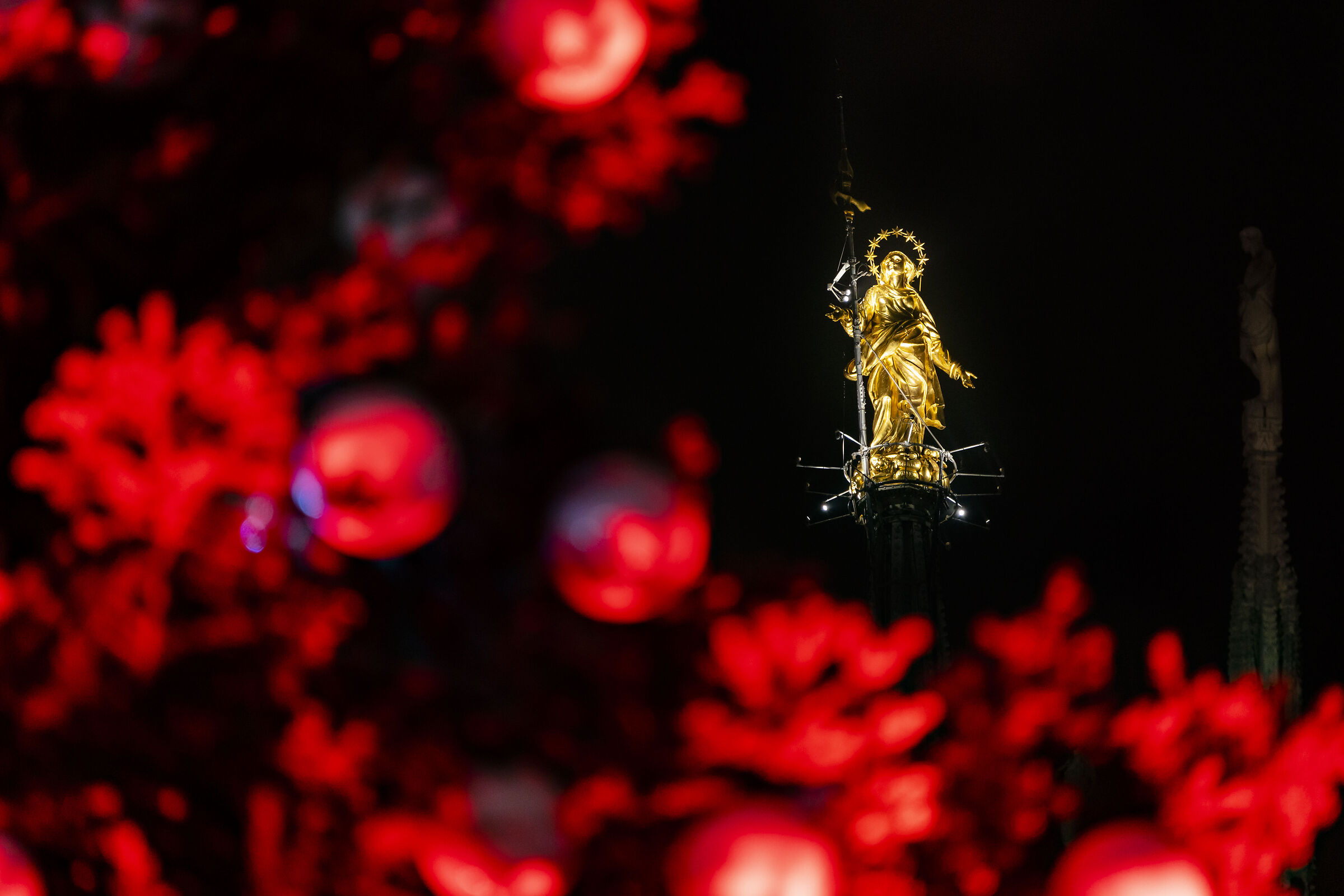 The Madonna and the Tree