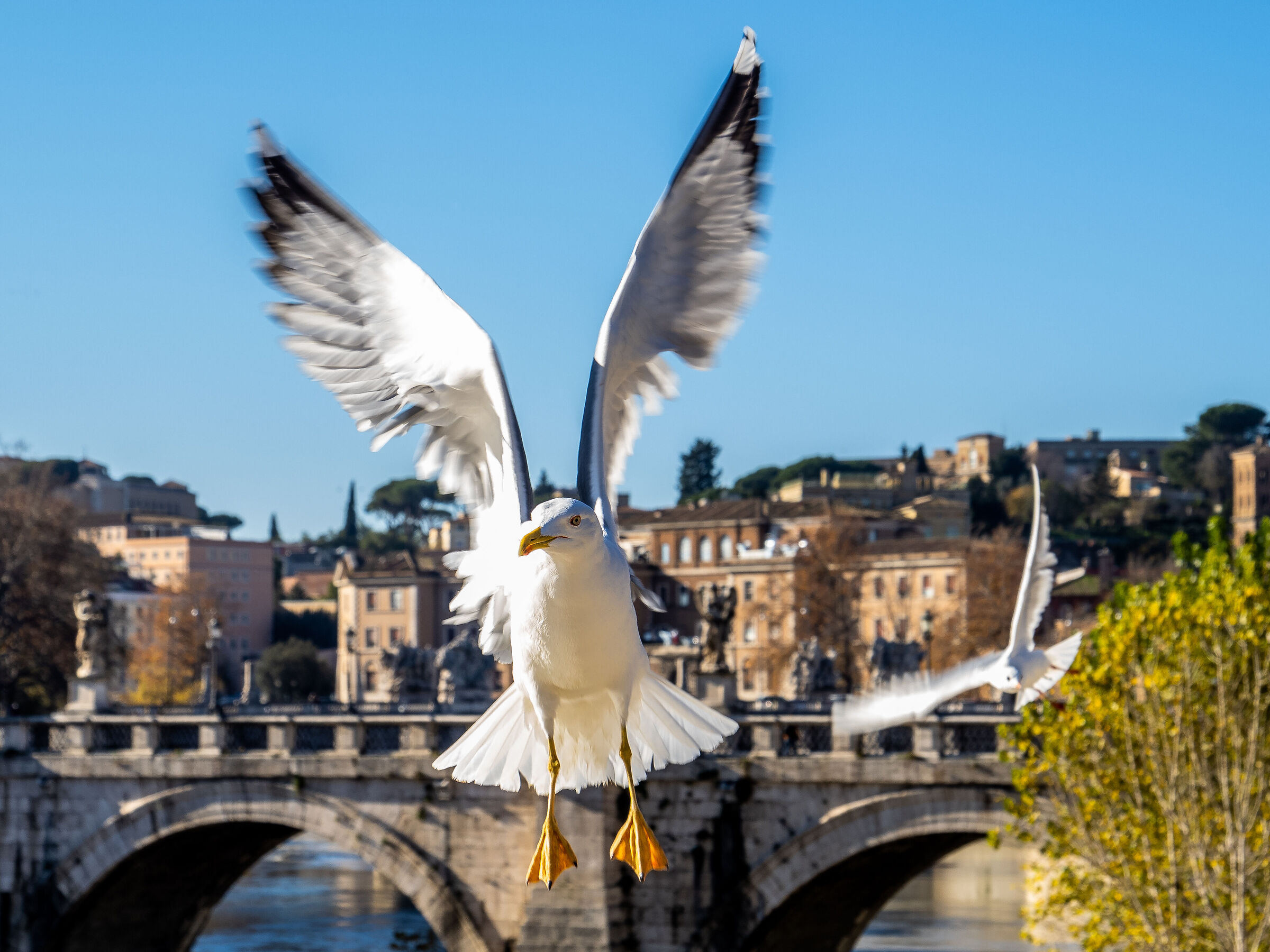 let us look each other in the eye!