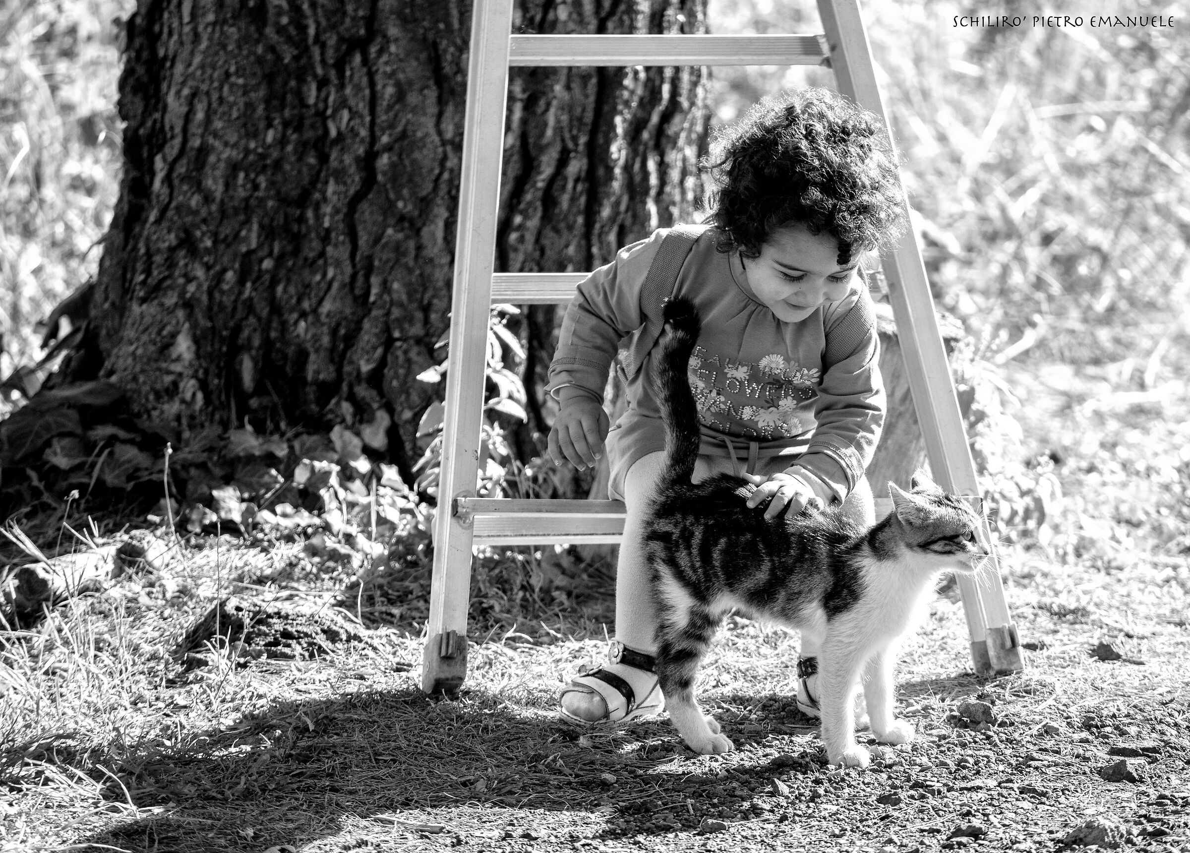 La semplicita' di un gesto