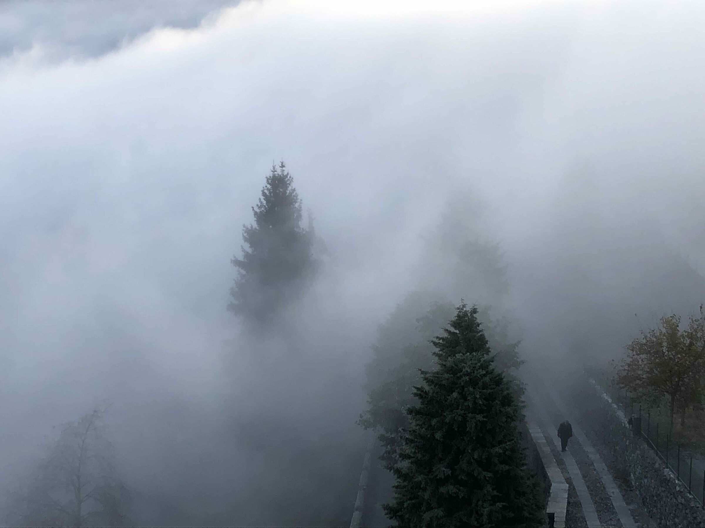 Salendo alla S. di San Michele