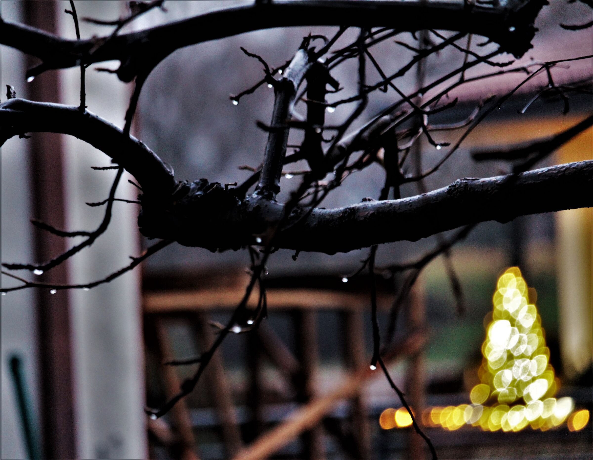 pioggia a Natale
