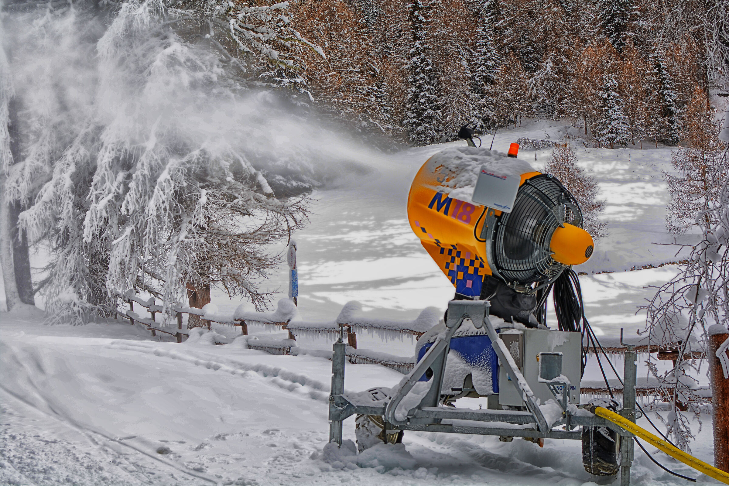 Who shoots the cannon for?