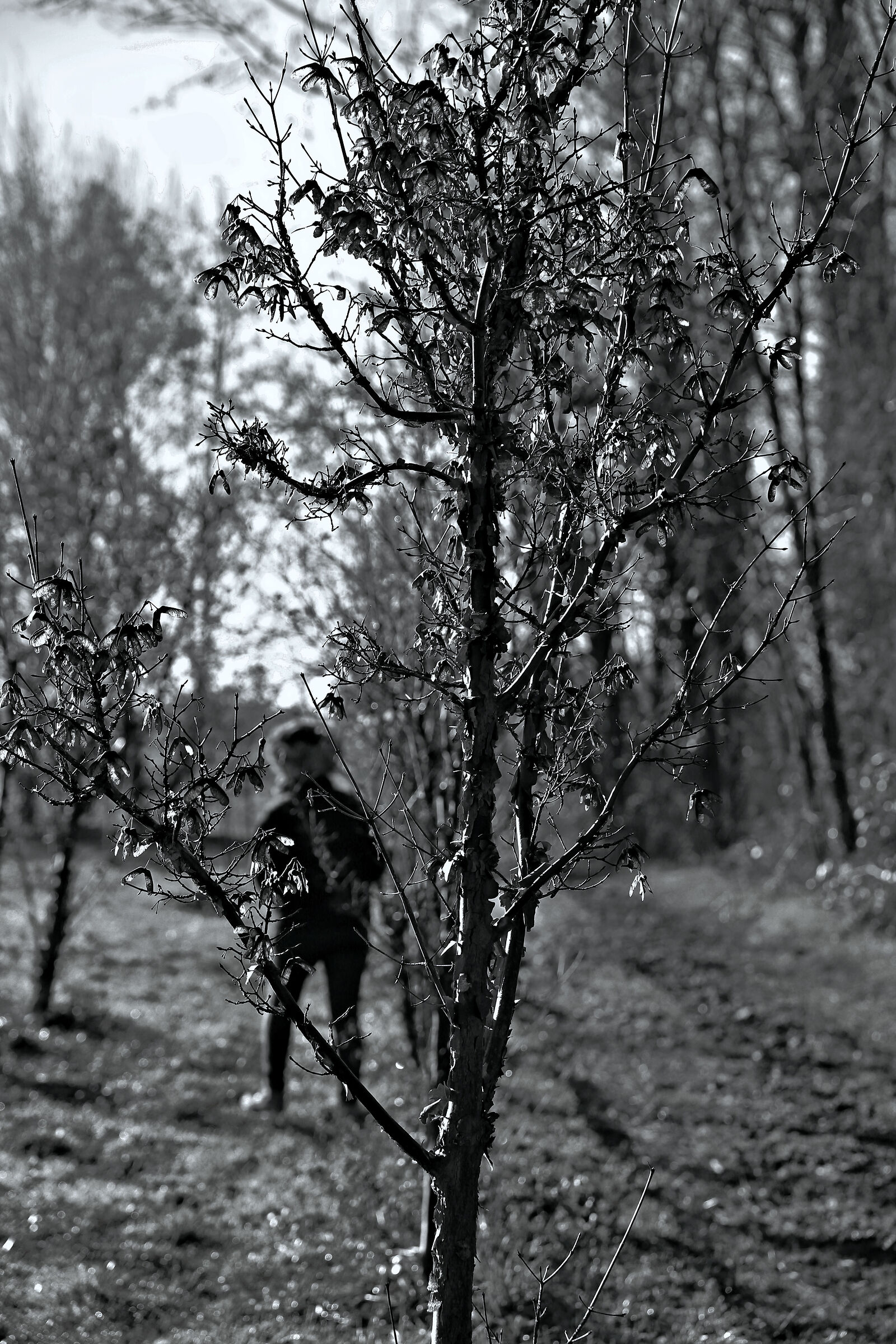 Santo Stefano con il sole , un po' di aria buona
