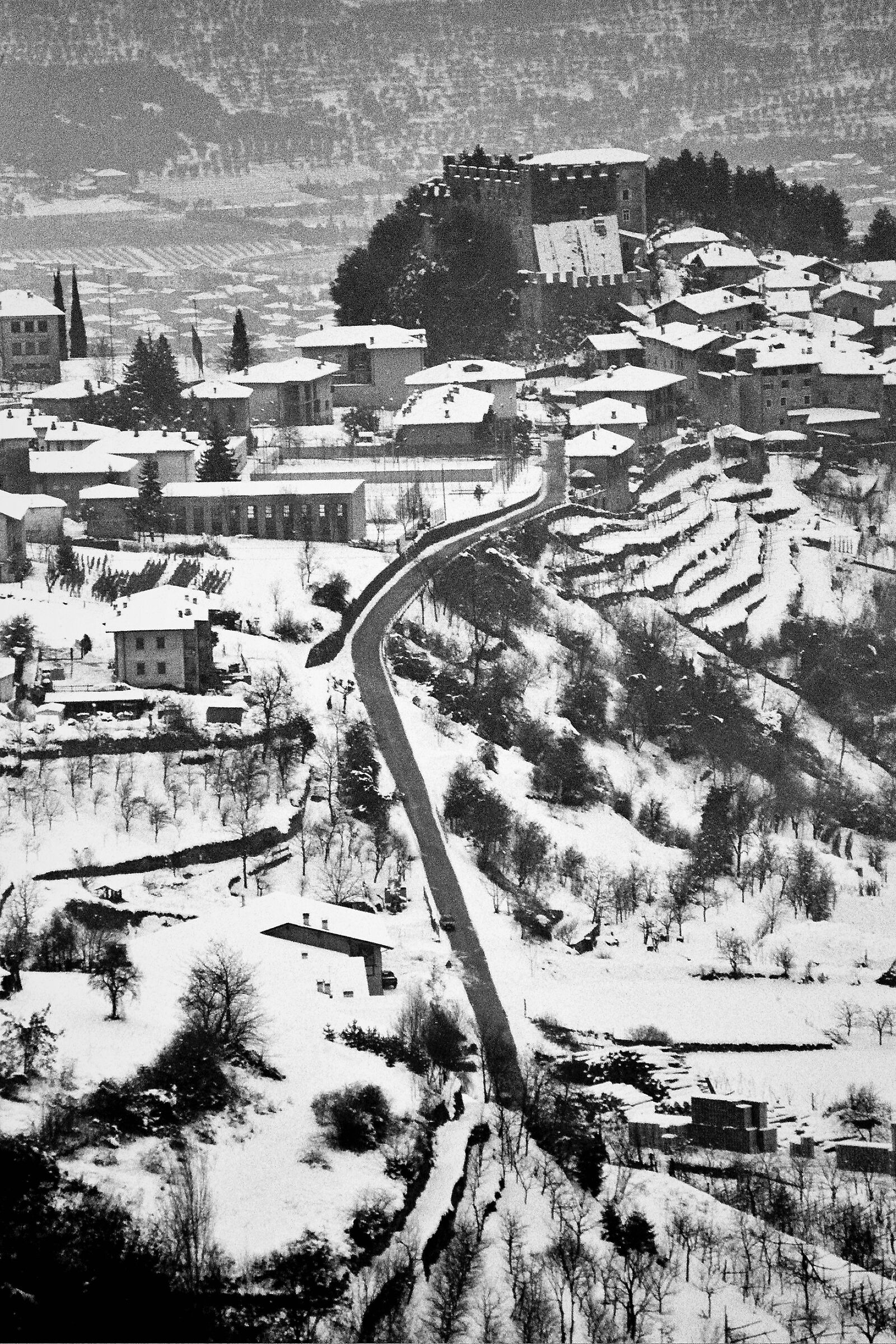 Tenno Department (TN)