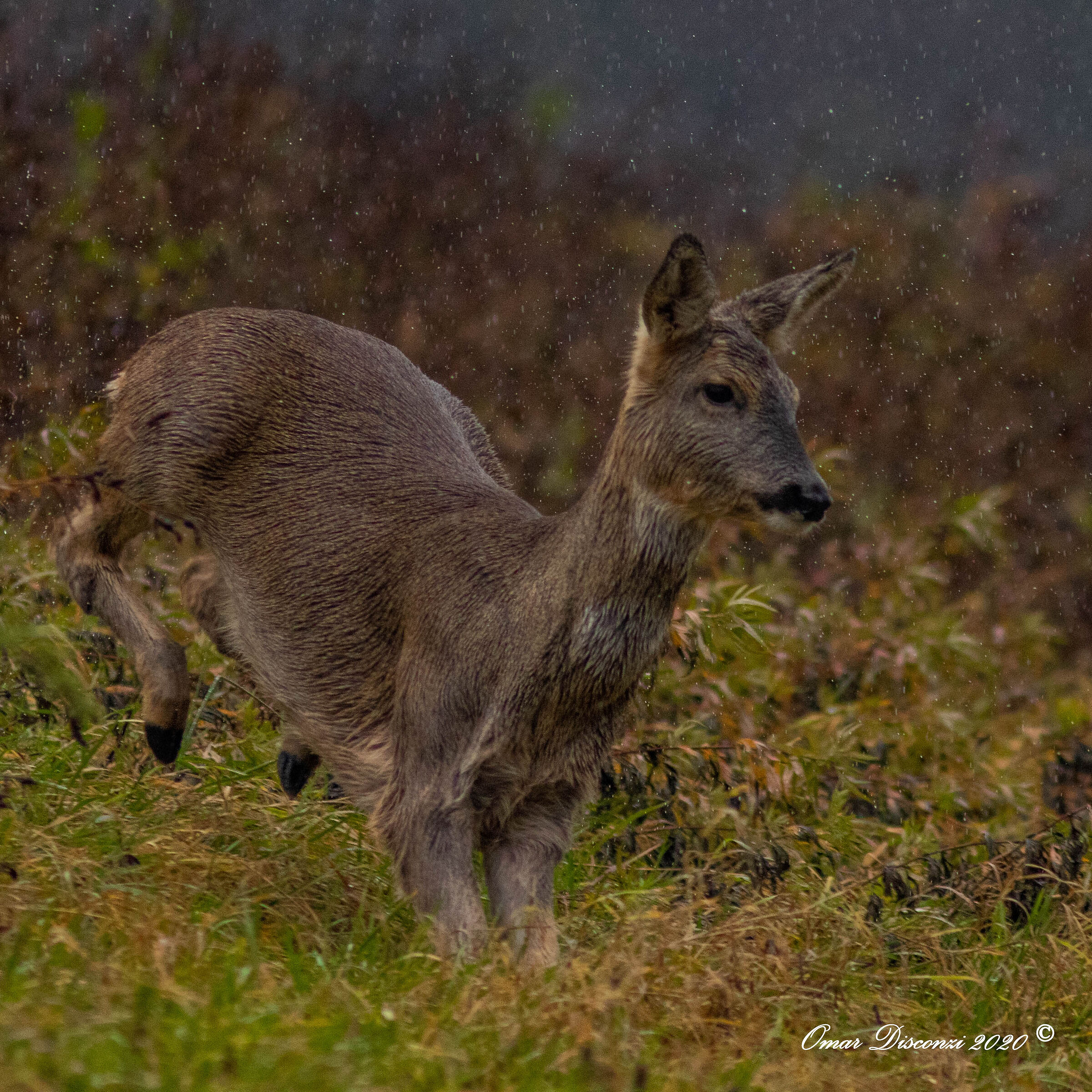 Aspetta un momento !