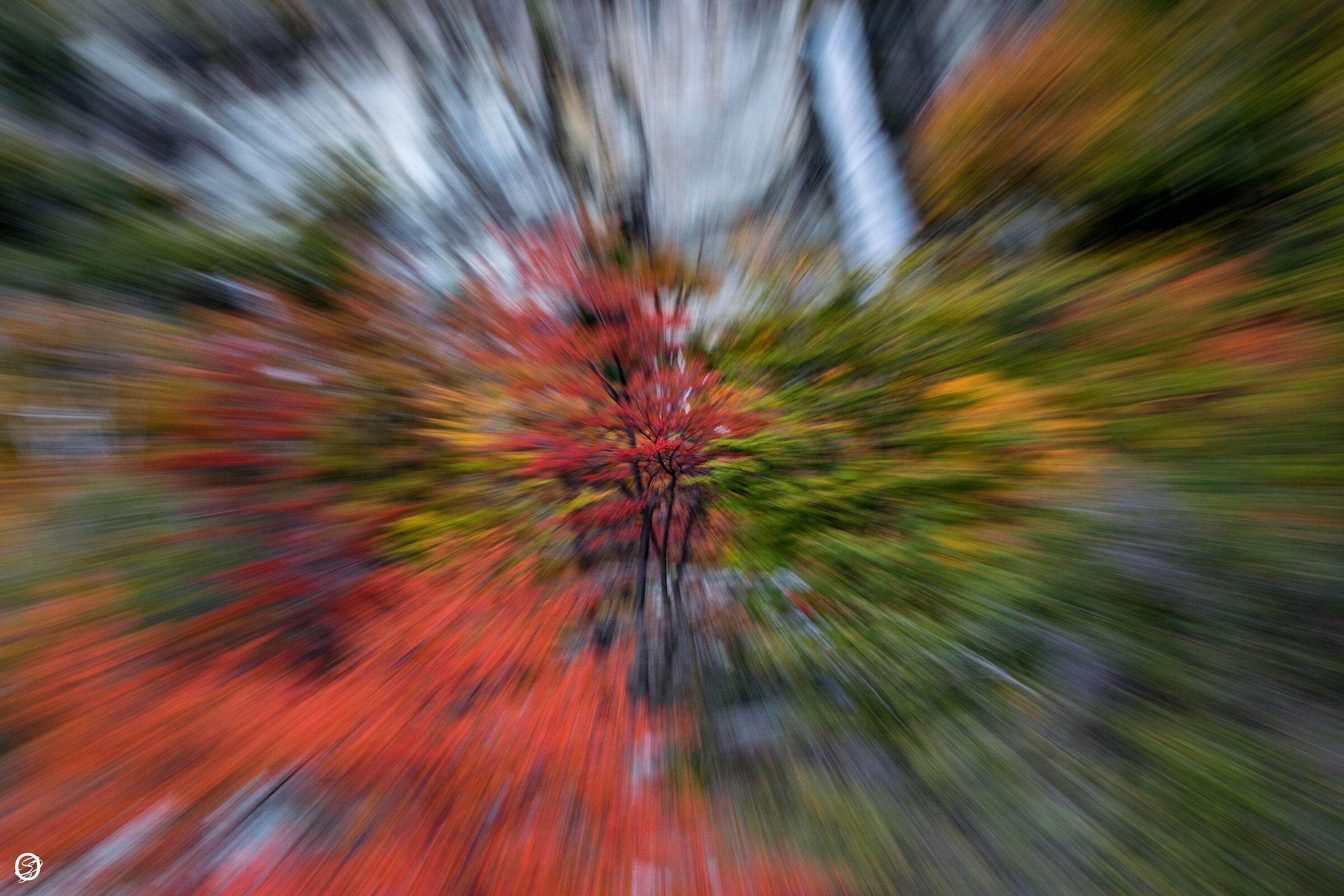 Autumn erupts!-El Chalten- Argentina