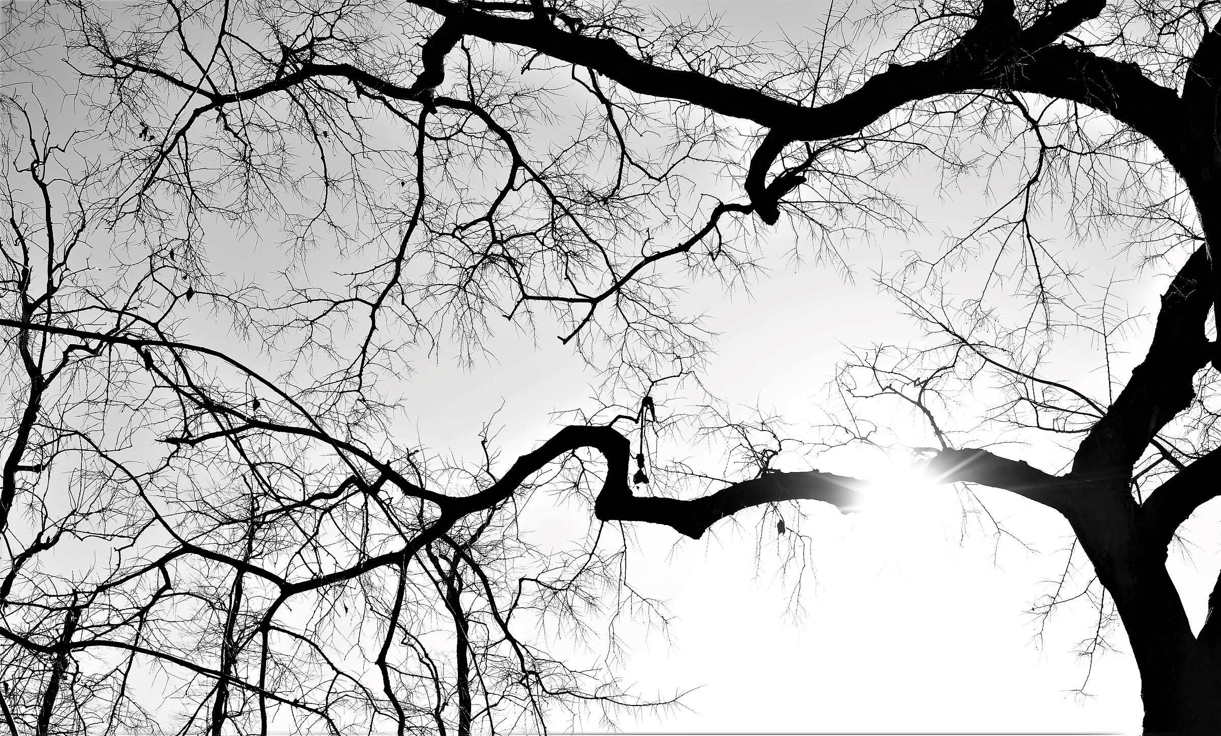 Colpito da un fulmine a ciel sereno