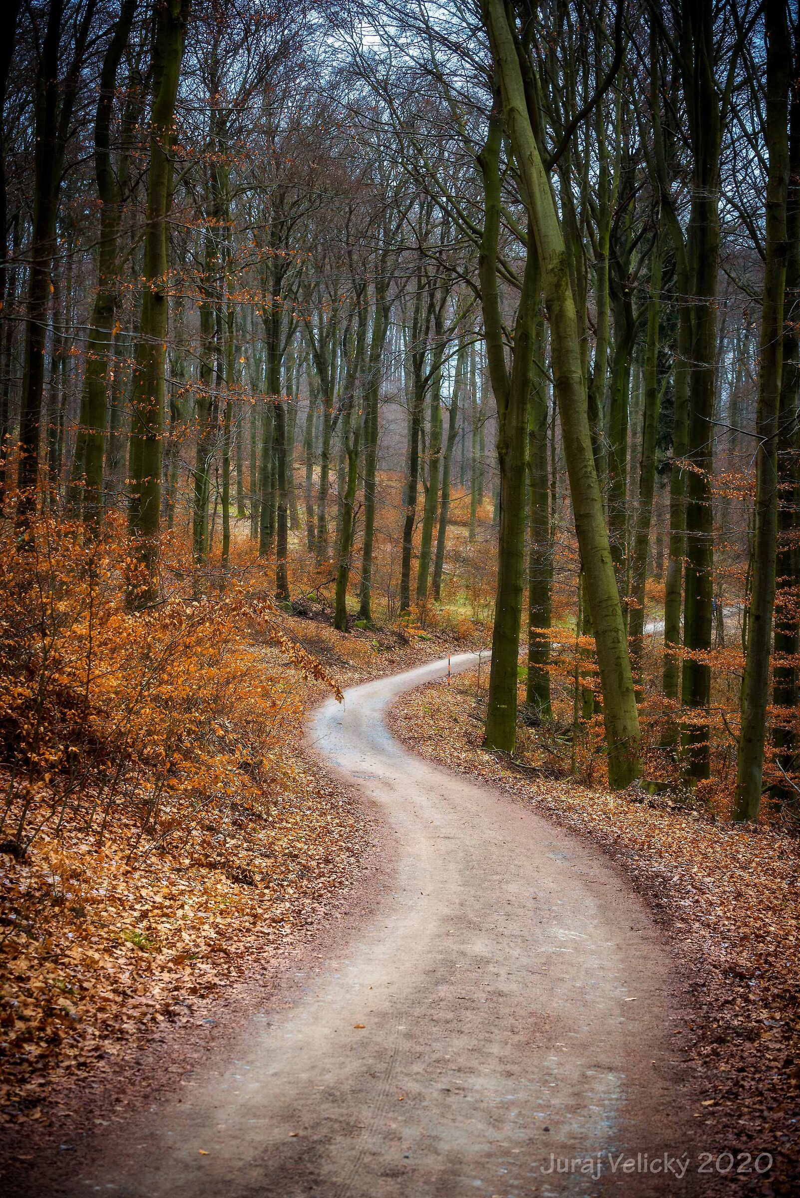 Untitled Photo