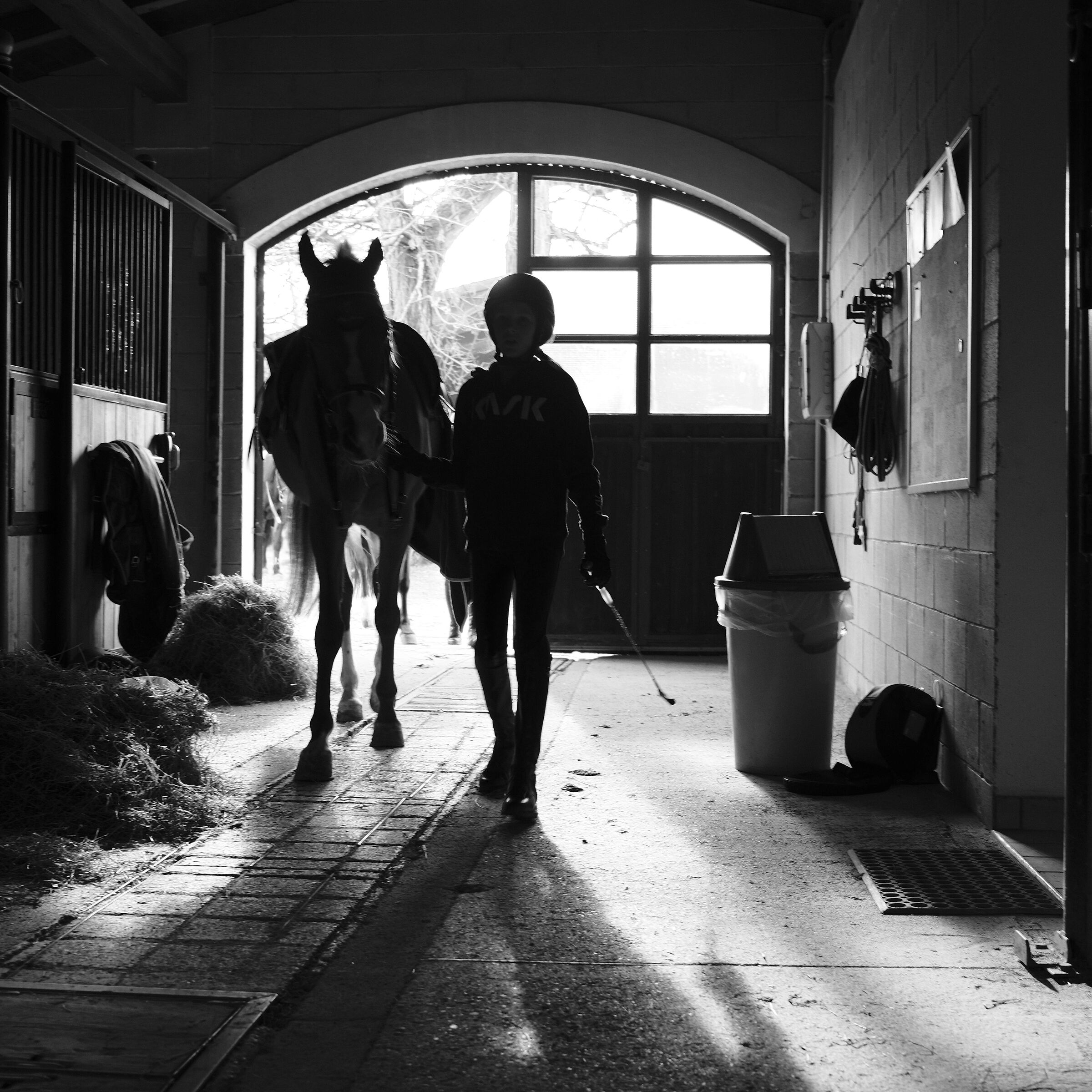 Fuji x100v