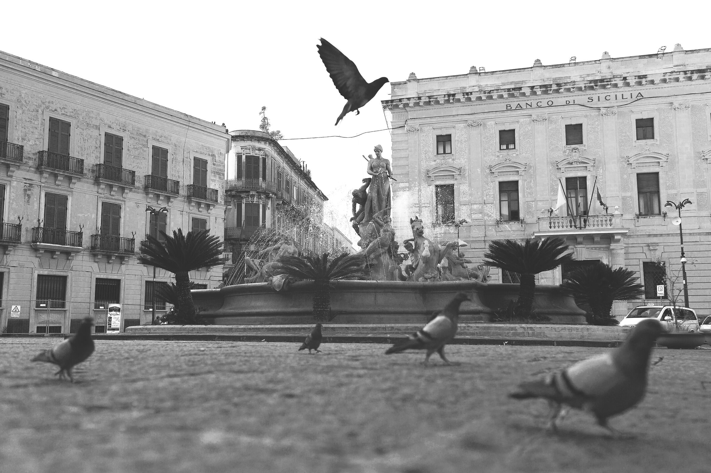 Fontana Diana e Piazza Archimede. Siracusa