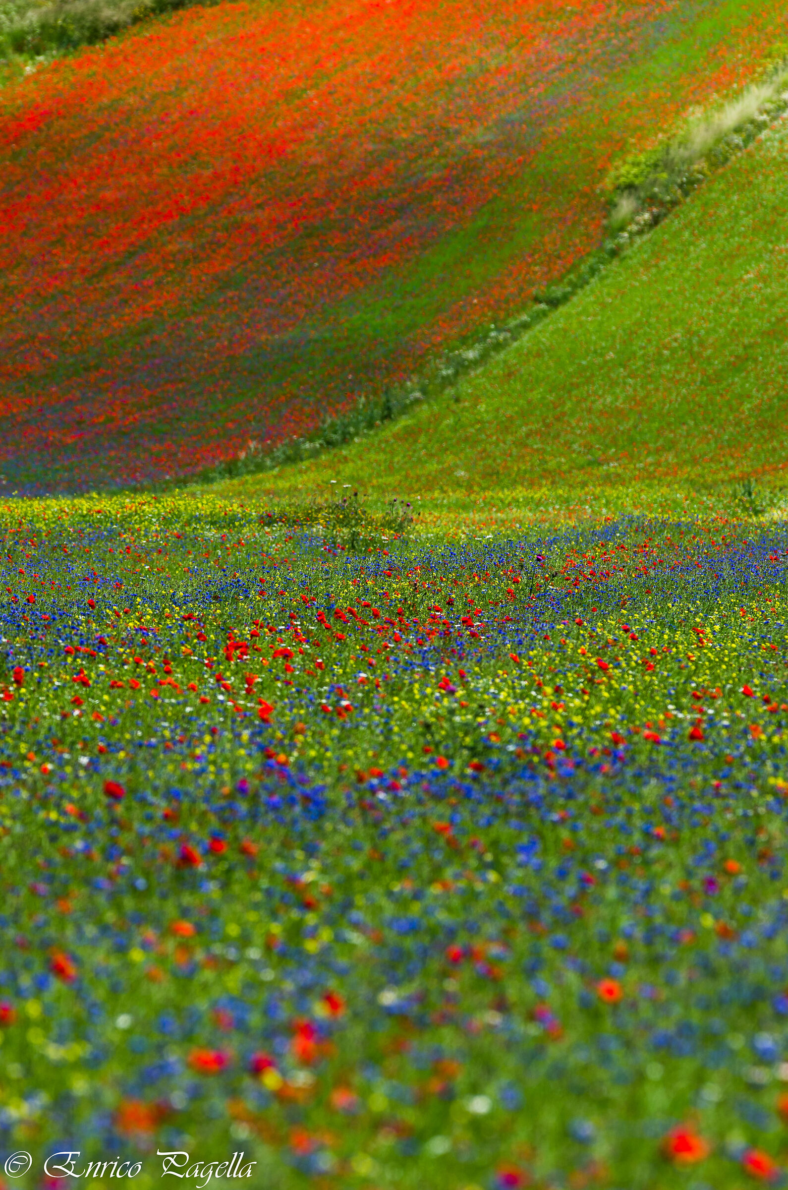 castelluccio a few years ago- I like to think about life