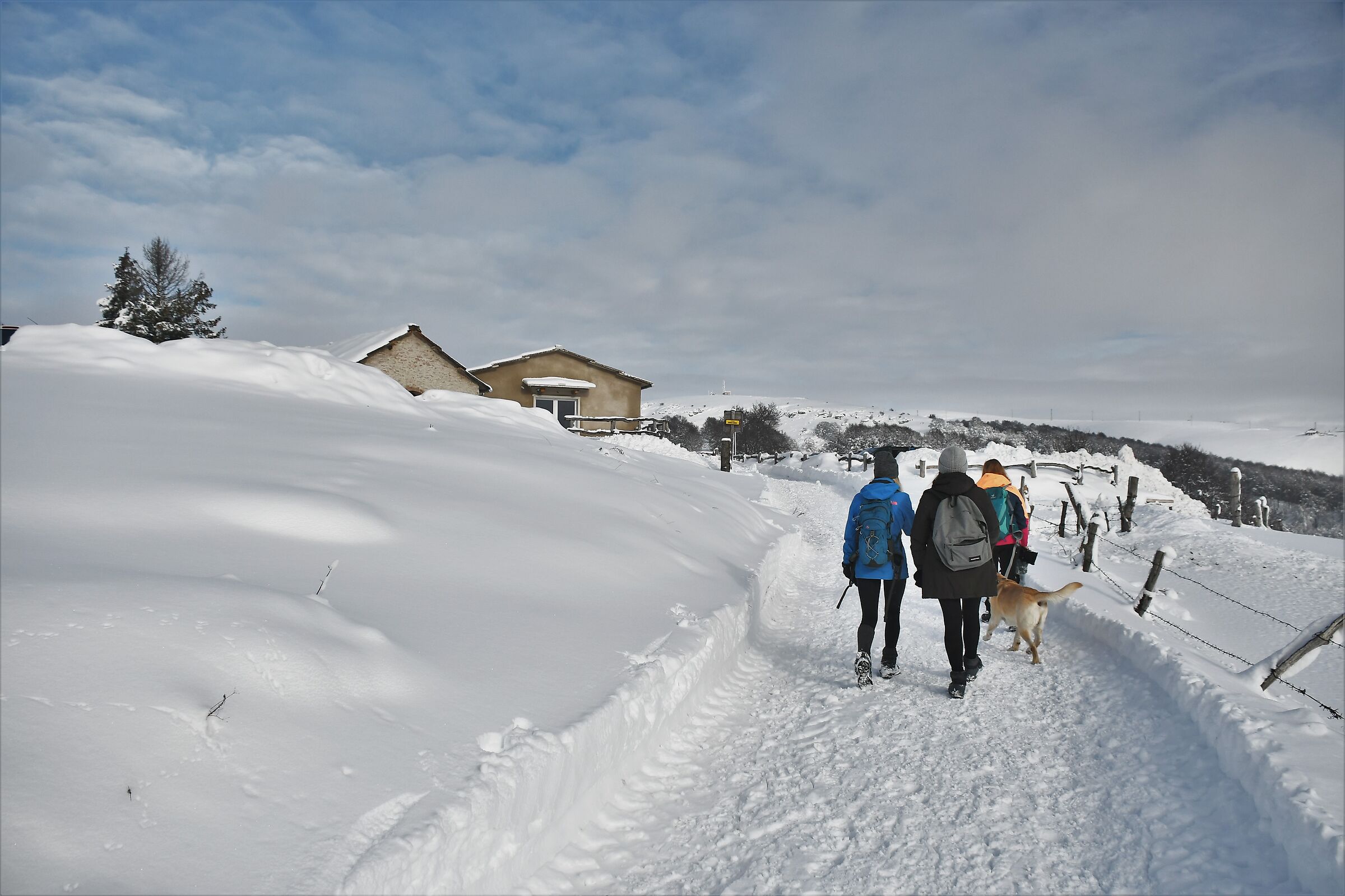 Rifugio Malga Moscarda